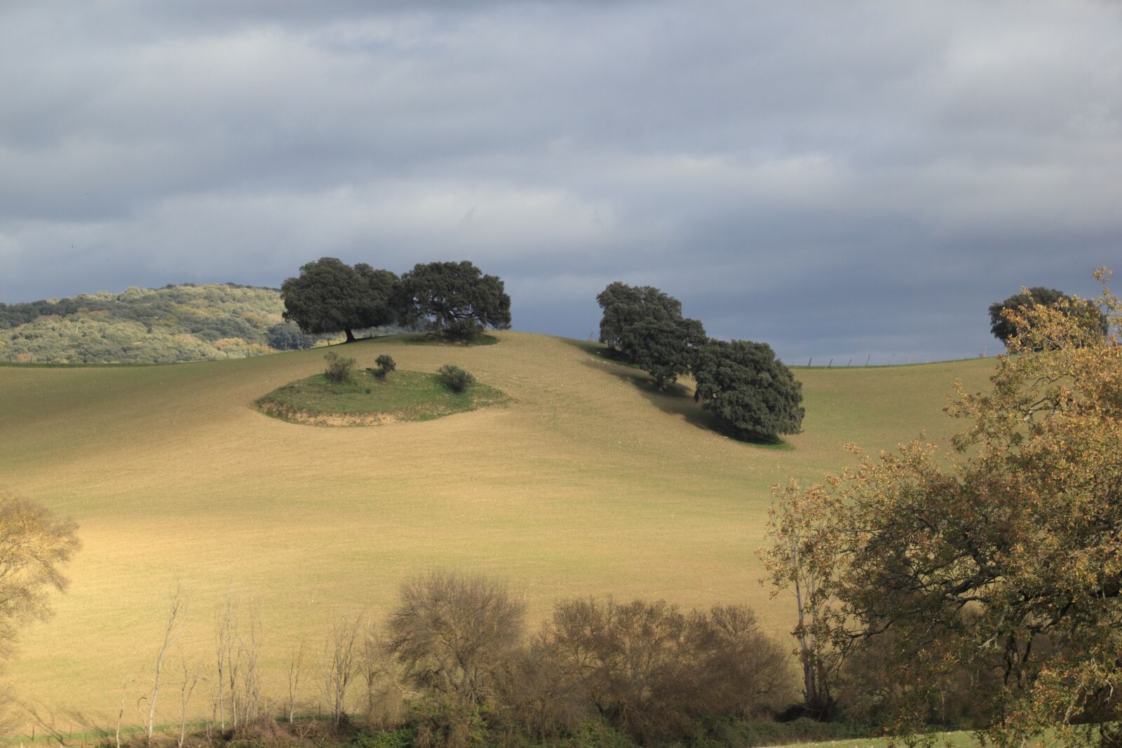 Canon EOS 550D (EOS Rebel T2i / EOS Kiss X4) sample photo. Spain, hills, landscape photography