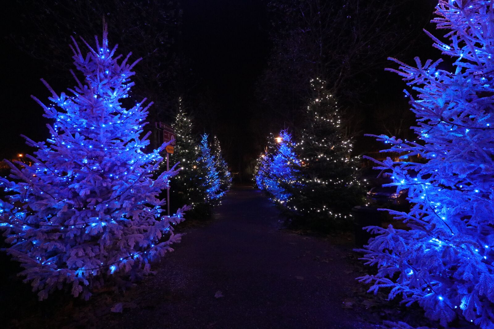 Canon EOS 80D sample photo. Christmas, lights, lichterkette photography
