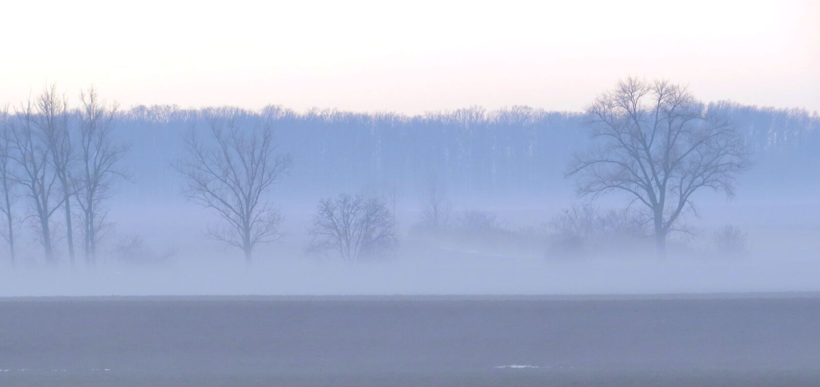 Canon PowerShot SX50 HS sample photo. Autumn, mist photography
