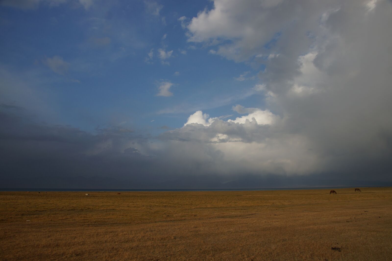 Tamron 16-300mm F3.5-6.3 Di II VC PZD Macro sample photo. Kyrgyzstan, song kul, landscape photography