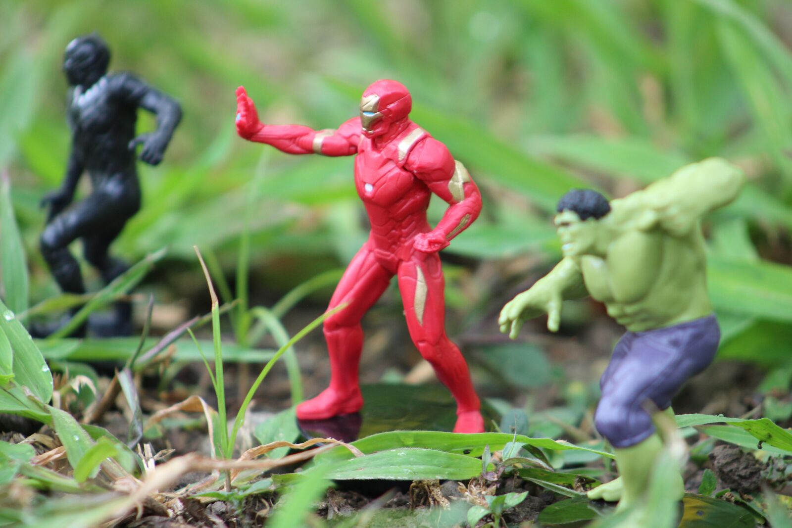 Canon EOS 1300D (EOS Rebel T6 / EOS Kiss X80) sample photo. Avengers, play, nature photography