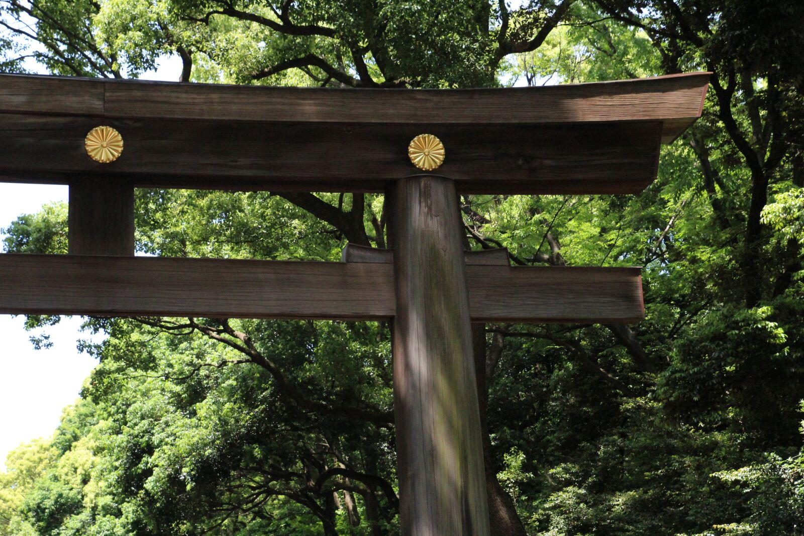 Canon EOS 600D (Rebel EOS T3i / EOS Kiss X5) sample photo. Japan, asia, temple photography