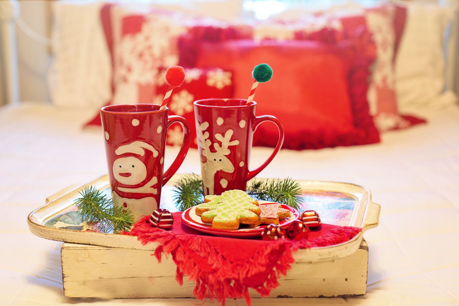 Canon EF 50mm F1.4 USM sample photo. Christmas, christmas eve, hot photography