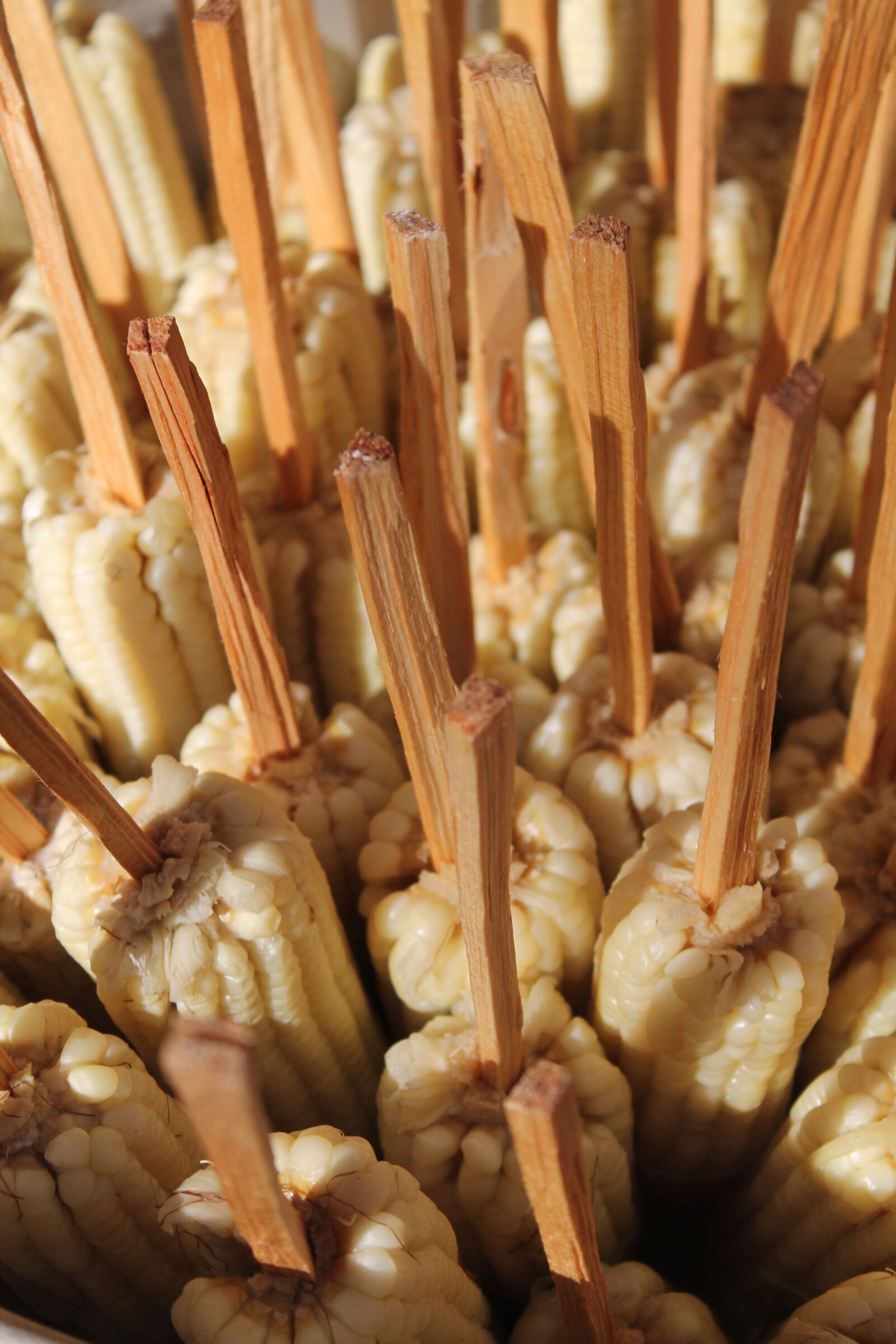 Canon EOS 1100D (EOS Rebel T3 / EOS Kiss X50) sample photo. Corn, food, guatemala photography