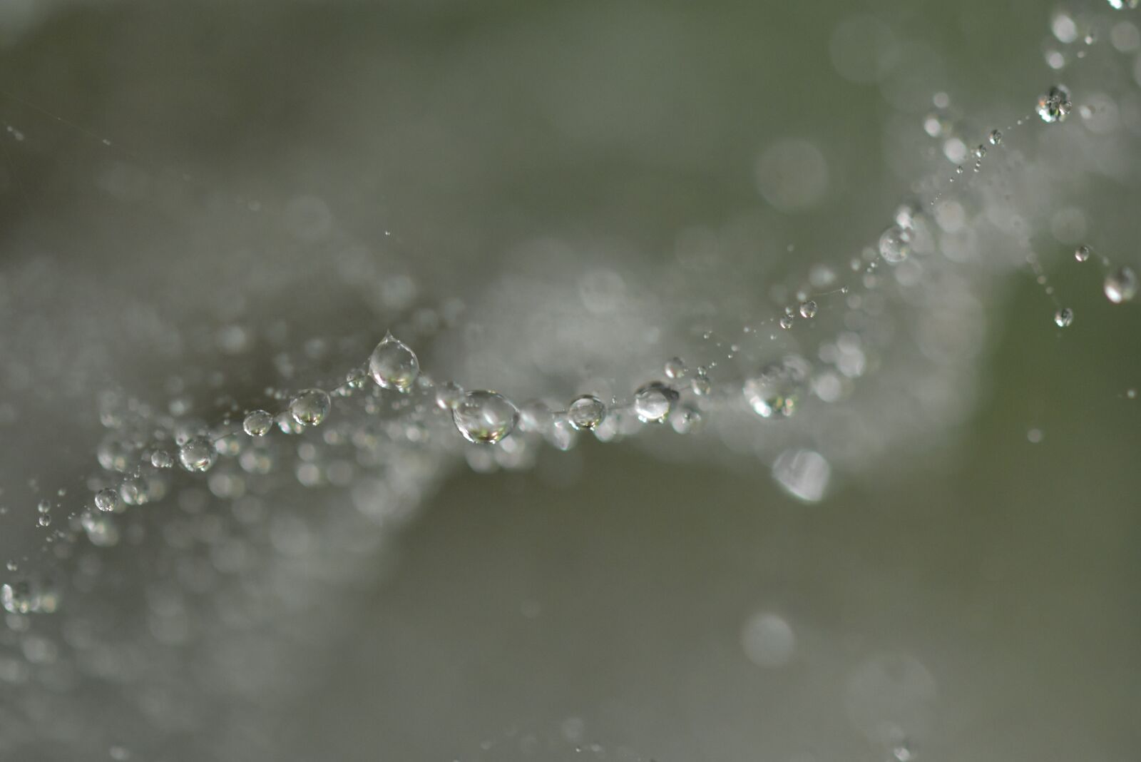 Nikon D3400 sample photo. Bubble, droplets, spiderweb photography