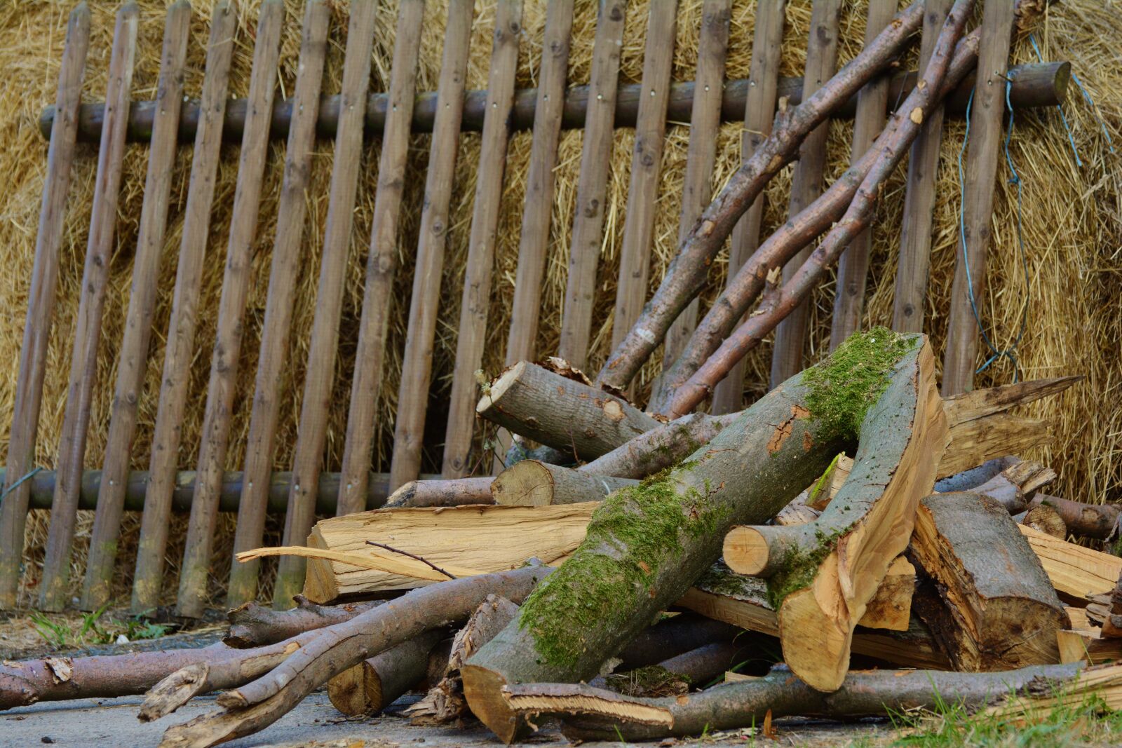 Nikon D5200 sample photo. Wood, wood fence, stack photography