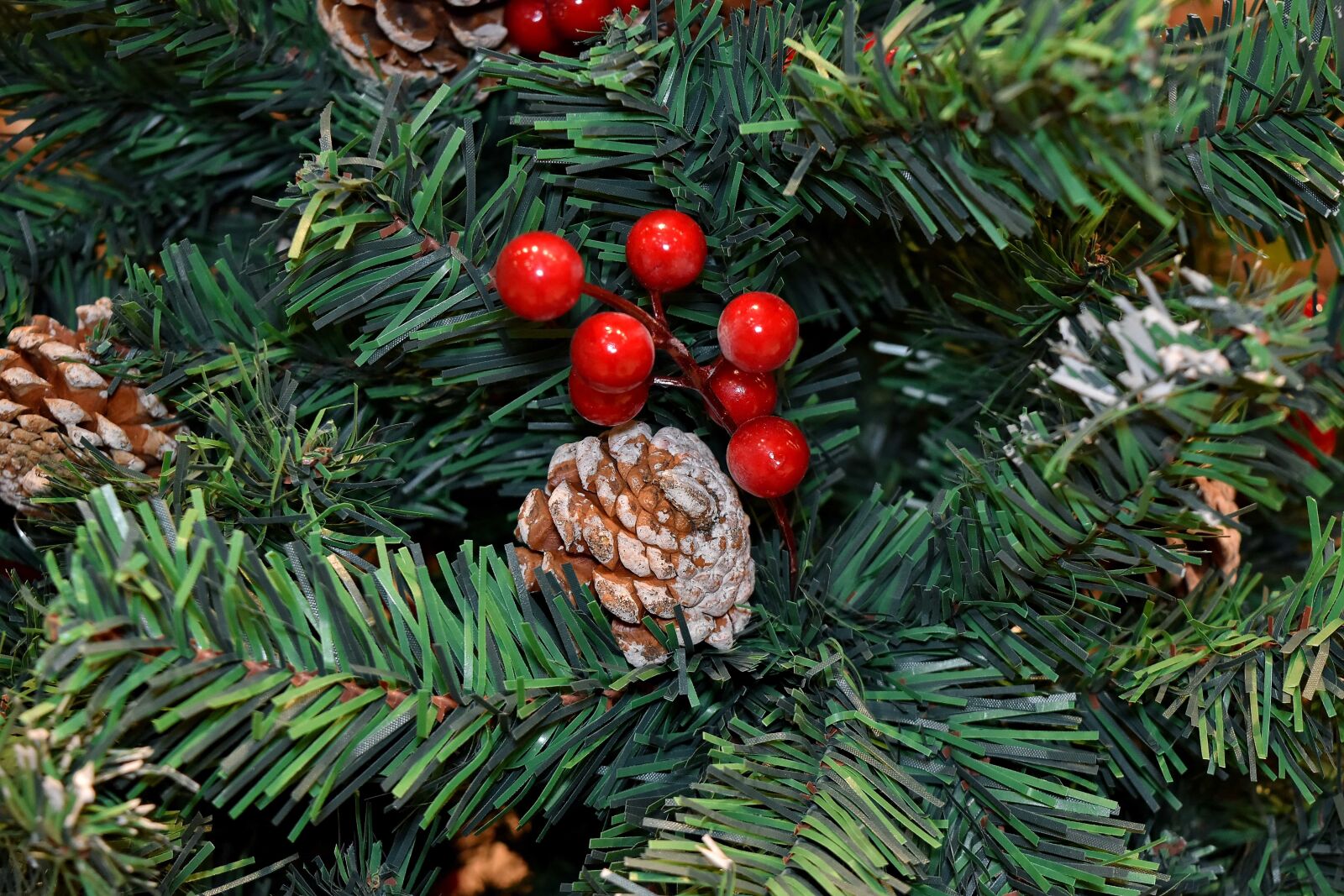 Nikon D5500 sample photo. Branches, christmas, christmas tree photography