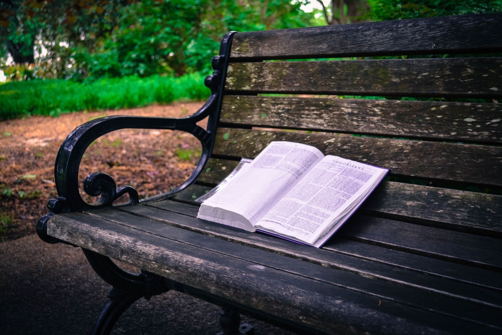 Nikon D5200 sample photo. Bible, bench, south carolina photography