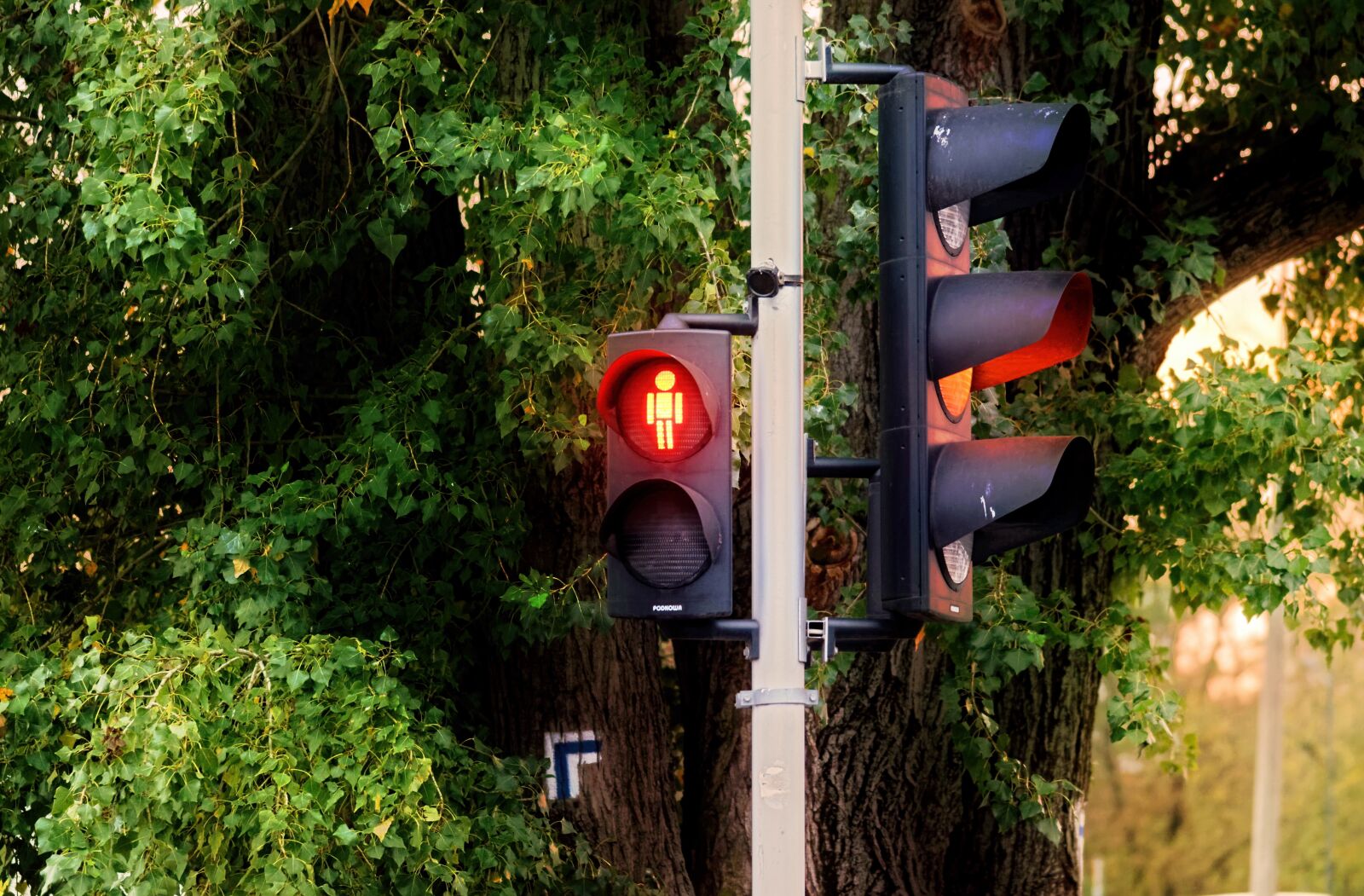 Nikon D5100 sample photo. Traffic lights, stop, red photography