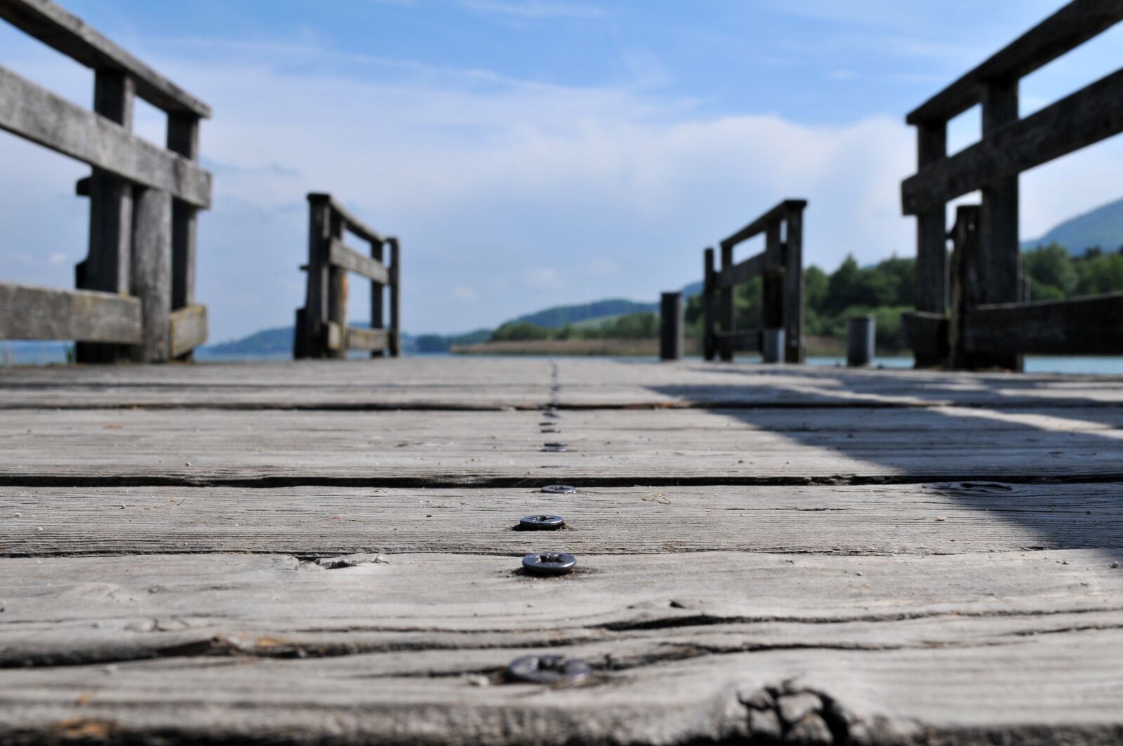 Nikon D300 sample photo. Web, wood, lake photography