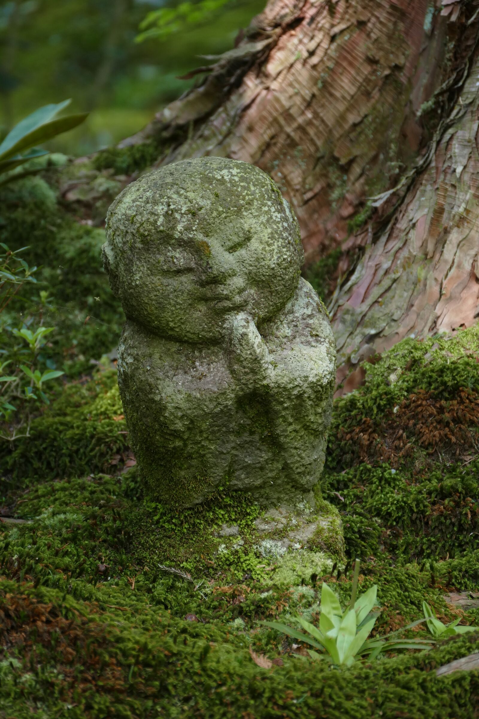 Panasonic Lumix DMC-FZ1000 sample photo. Kyoto, stone image, children photography