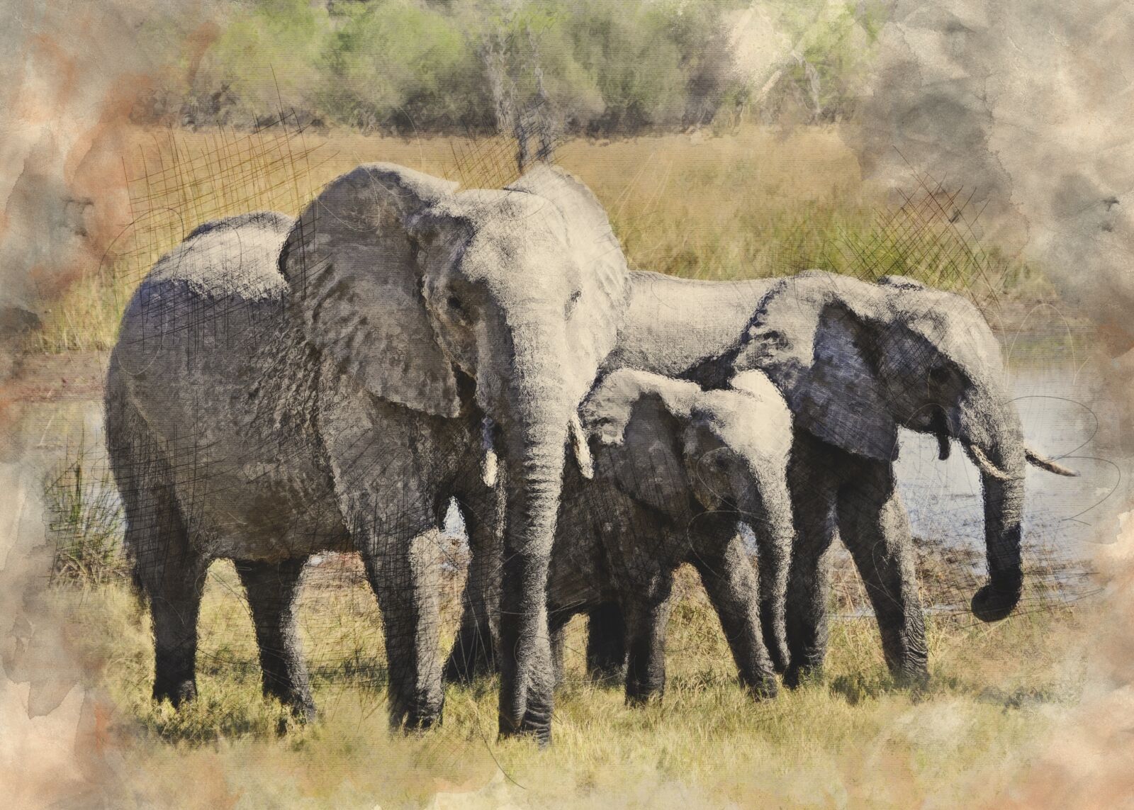 Nikon D90 sample photo. Elephant, africa, okavango delta photography