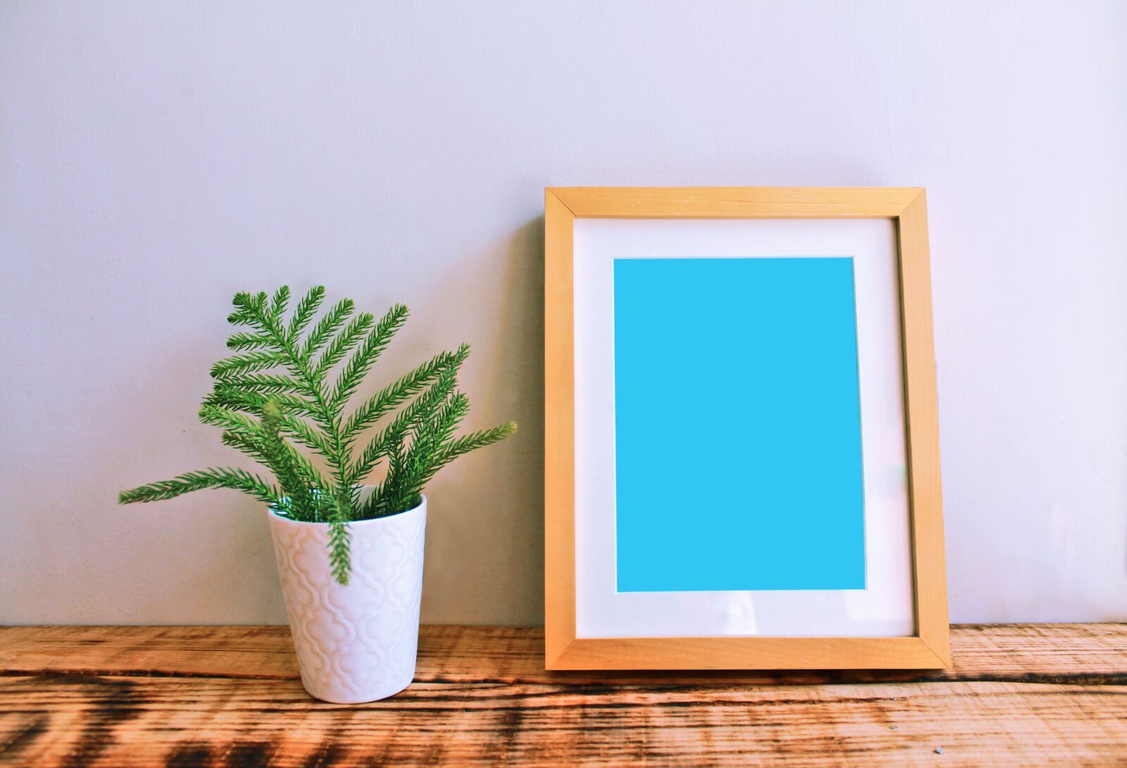 Canon EOS 1100D (EOS Rebel T3 / EOS Kiss X50) sample photo. Frame, mockup, photo photography