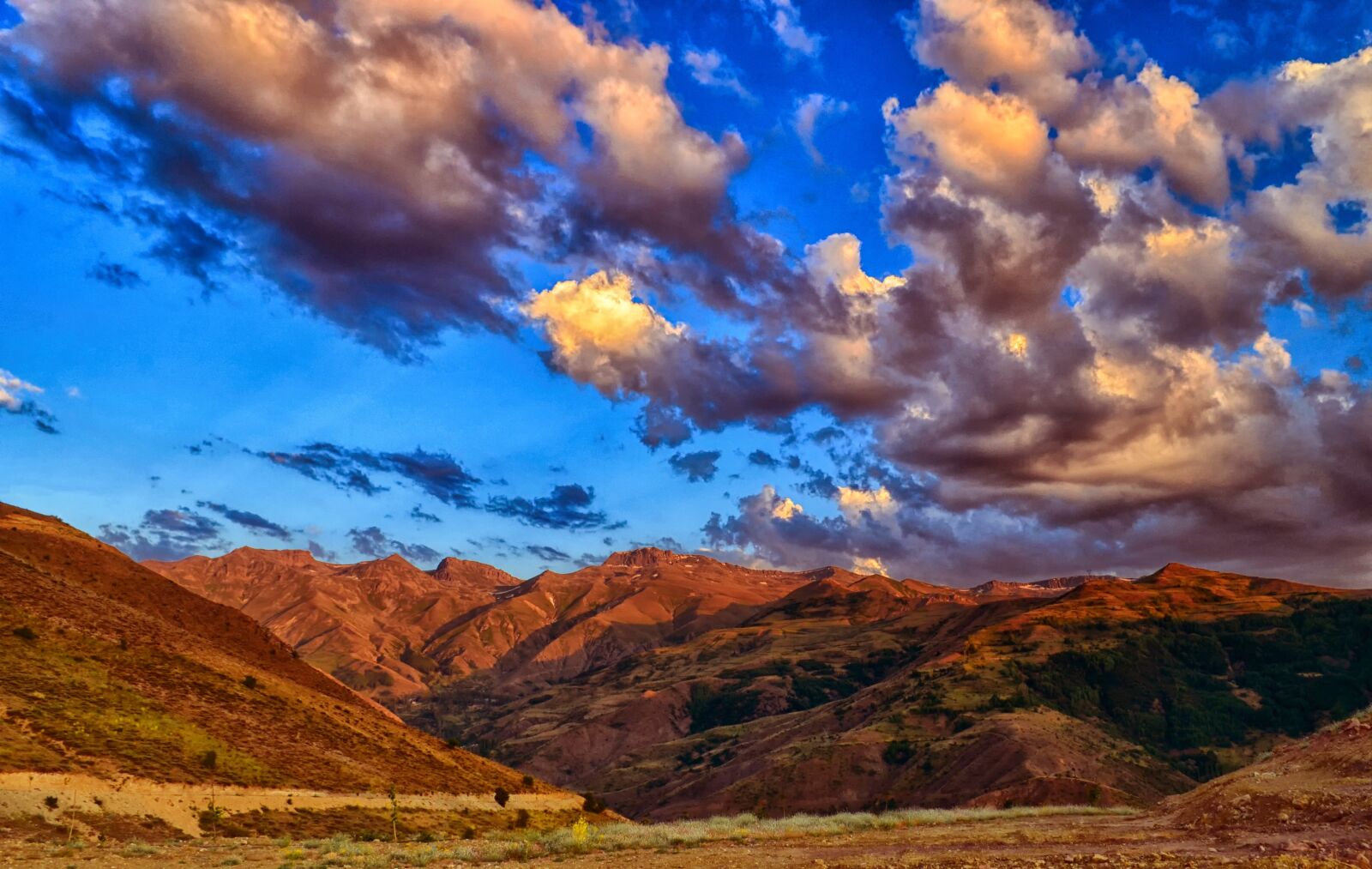 Nikon D5100 sample photo. Sunset, dawn, nature photography