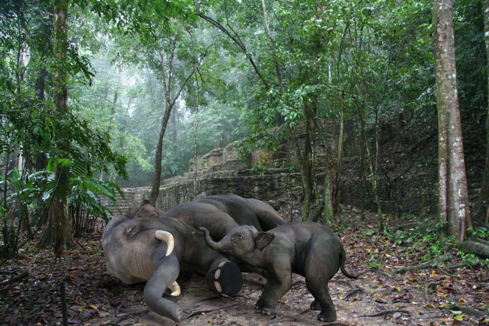 Canon EOS 350D (EOS Digital Rebel XT / EOS Kiss Digital N) sample photo. Computer art, elephants, baby photography