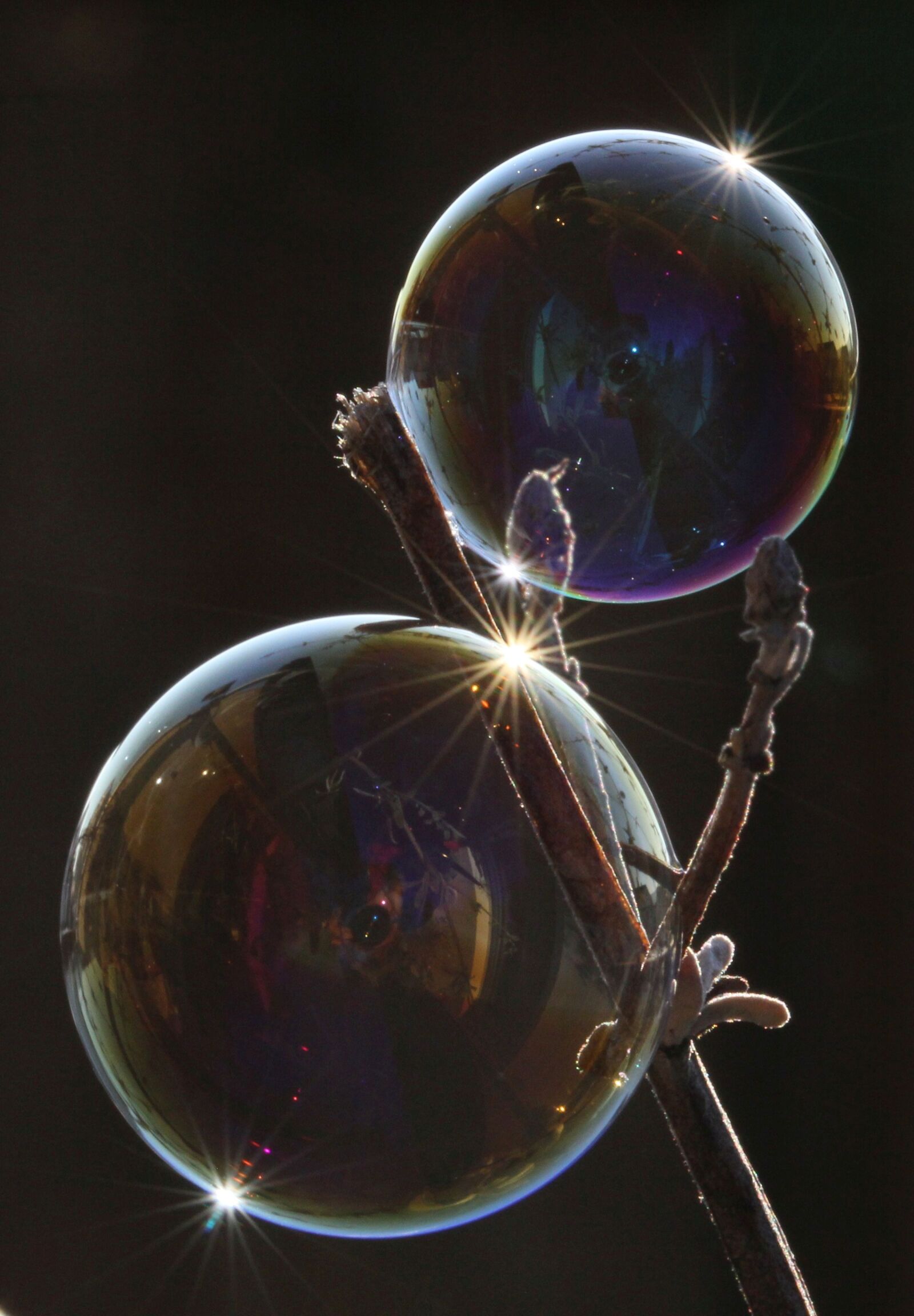 Canon EF 100mm F2.8L Macro IS USM sample photo. Soap bubble, light, reflection photography