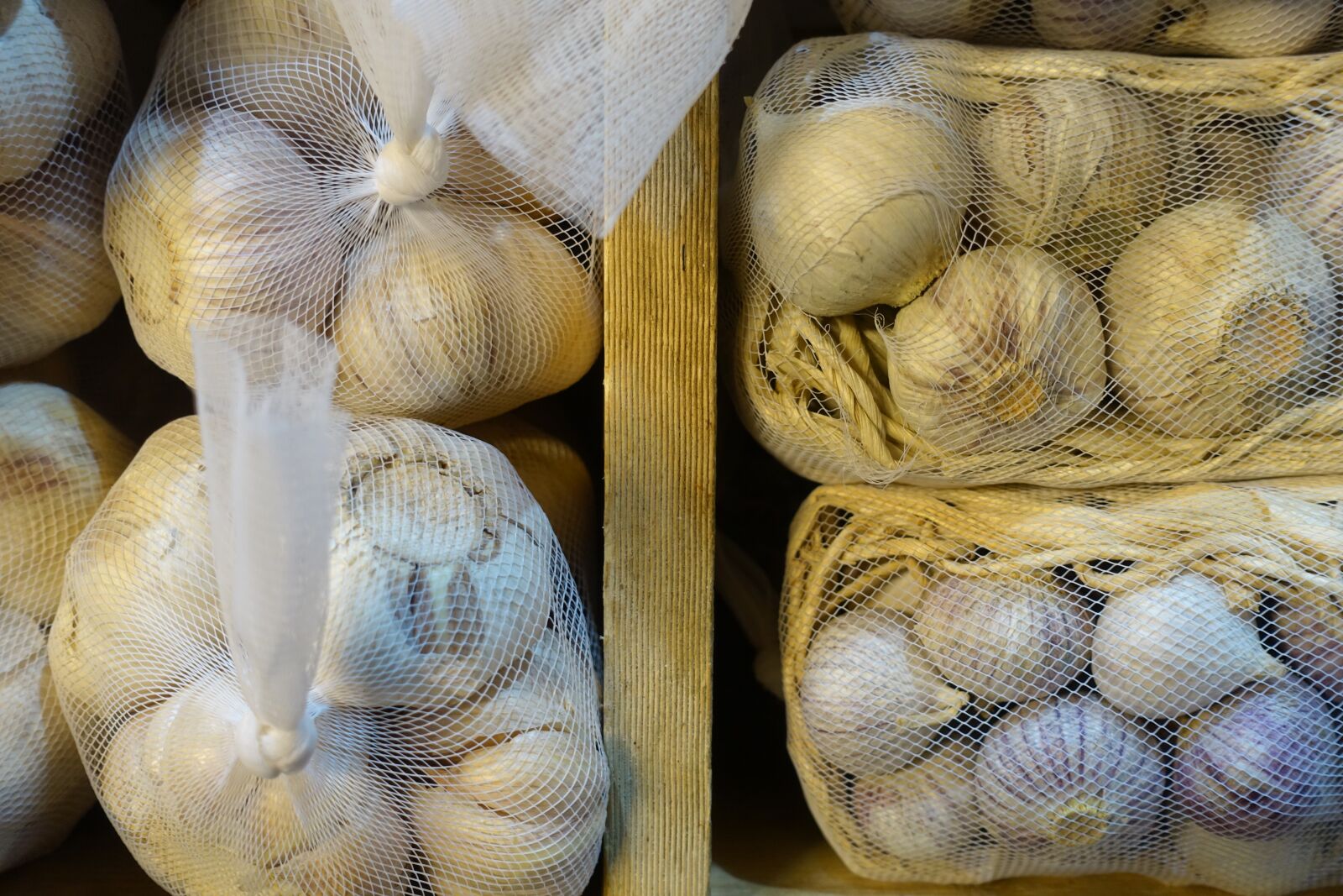 Sony Cyber-shot DSC-RX100 III sample photo. Garlic, union, allium sativum photography