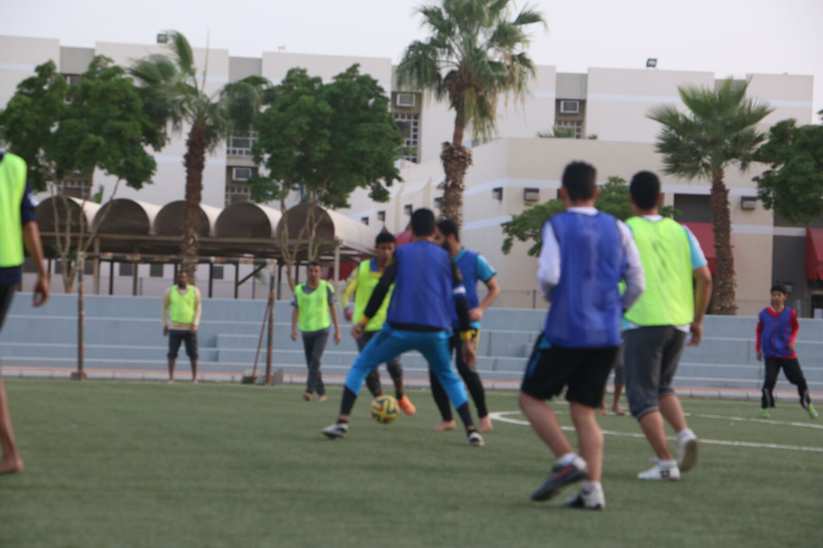 Canon EOS 70D sample photo