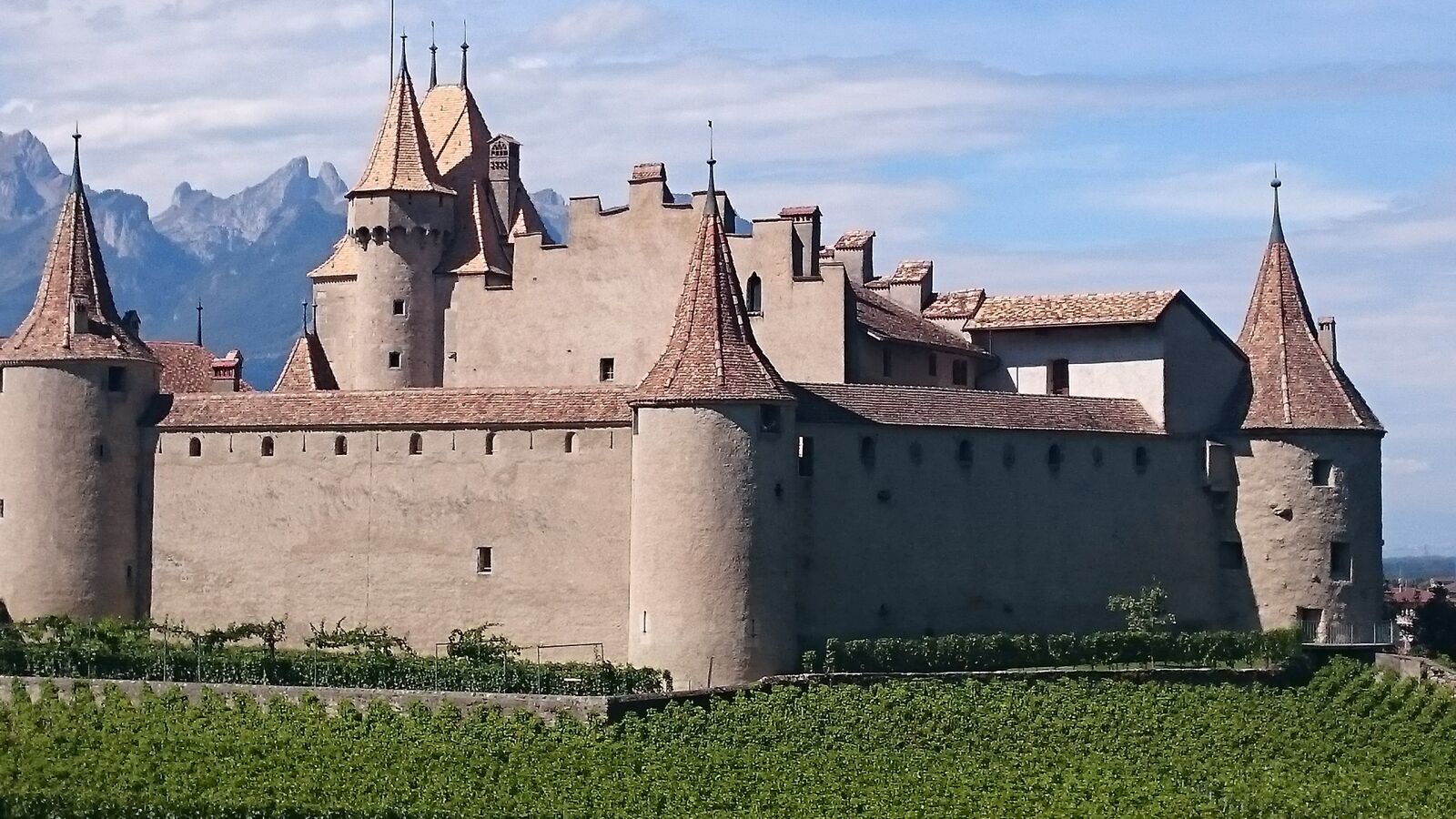Sony Xperia Z3 sample photo. Castle, vine, wine photography
