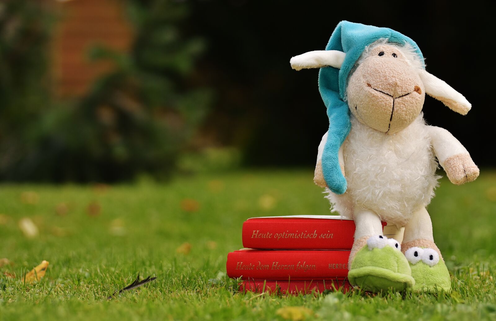 Nikon D7200 sample photo. Sheep, sleepyhead, meadow photography
