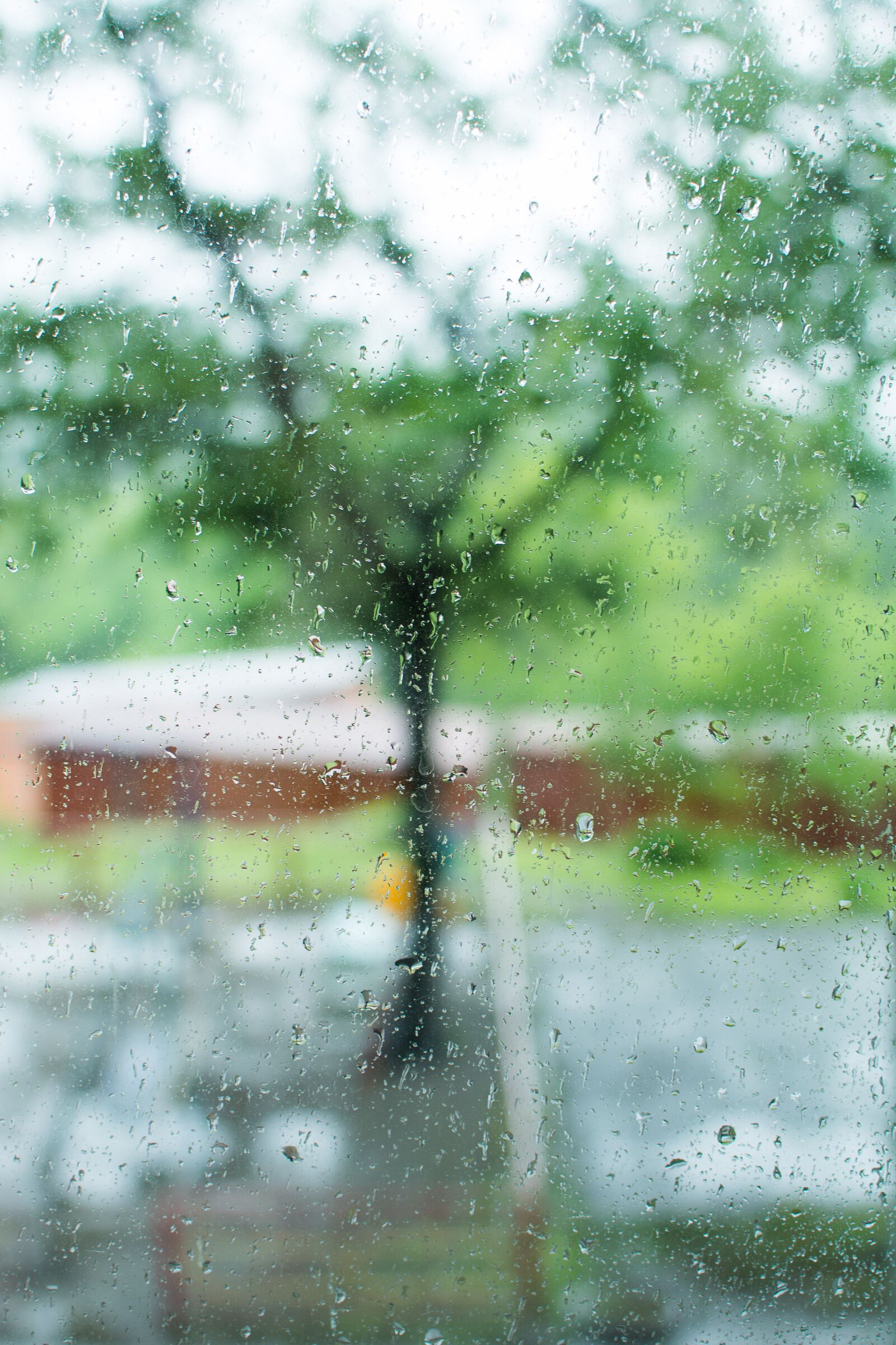 Nikon D7100 sample photo. Rain, drops, drops on photography
