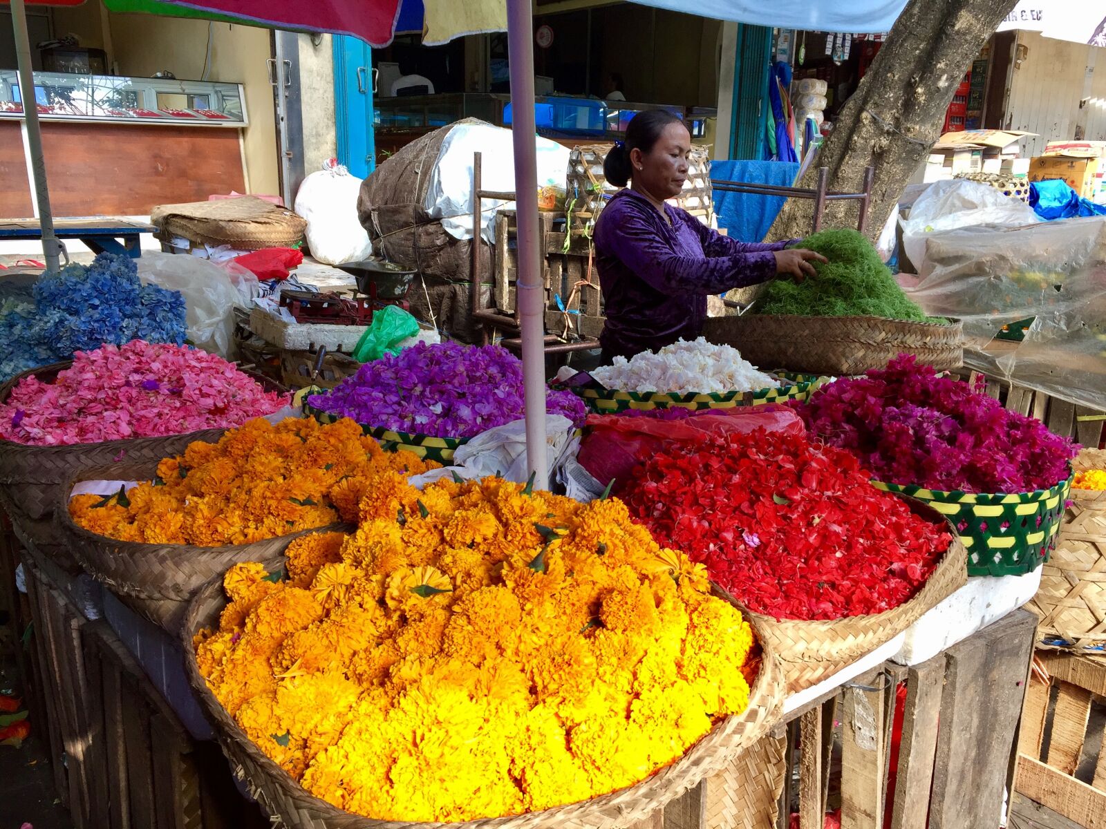 Apple iPhone 6 sample photo. Bali, indonesia, people photography