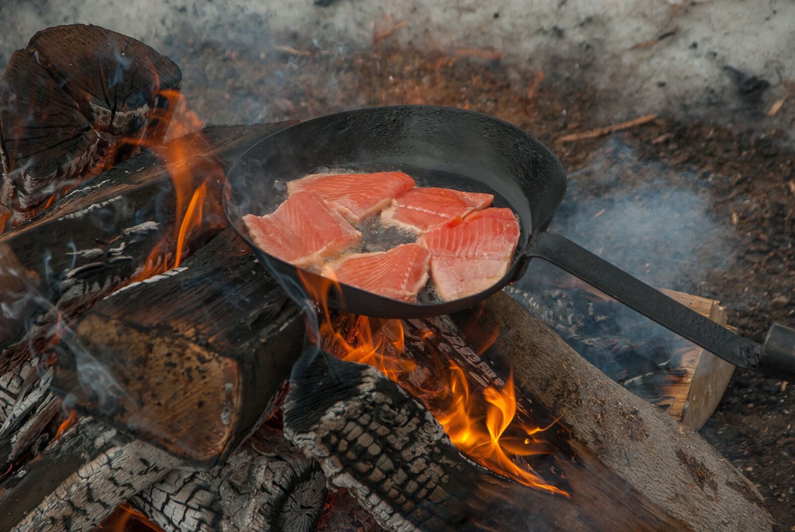 Pentax K10D sample photo. Wood fire, trout, fry photography