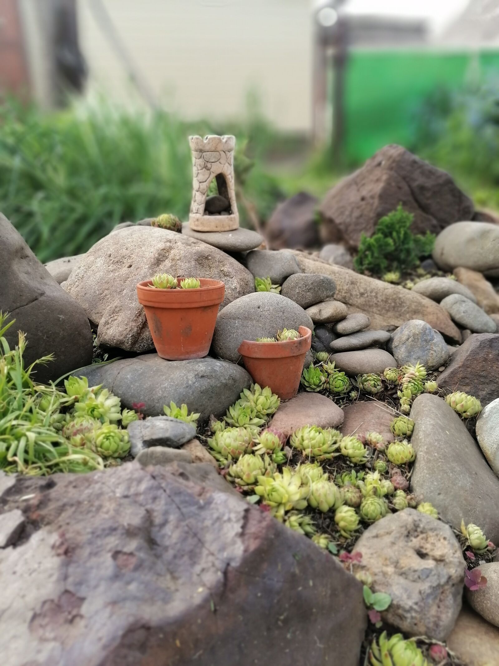 HUAWEI STK-LX1 sample photo. Rock garden, alpine slide photography