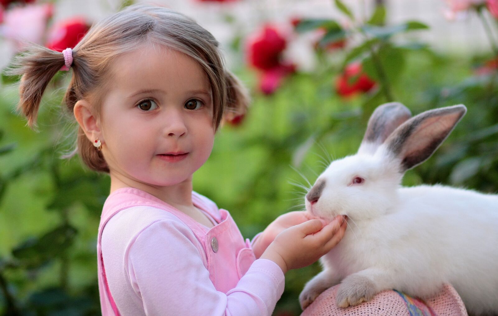 Canon EOS 450D (EOS Rebel XSi / EOS Kiss X2) sample photo. Girl, rabbit, friendship photography
