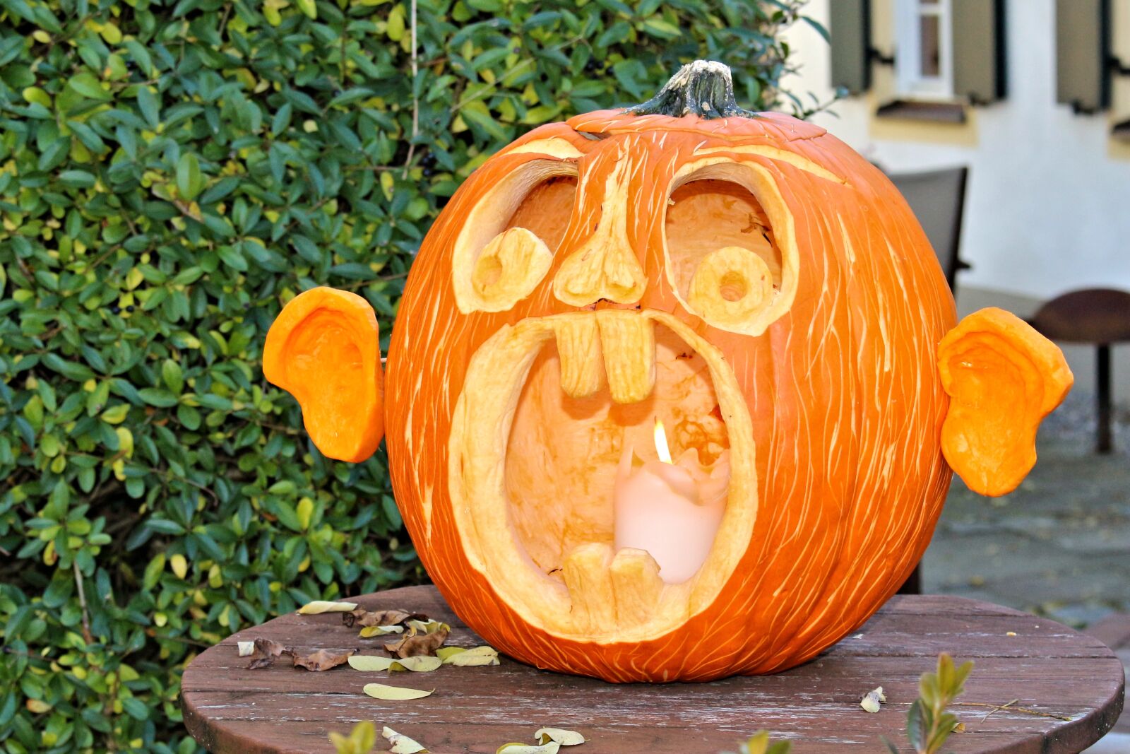 Canon EOS 700D (EOS Rebel T5i / EOS Kiss X7i) sample photo. Autumn, pumpkin, face photography