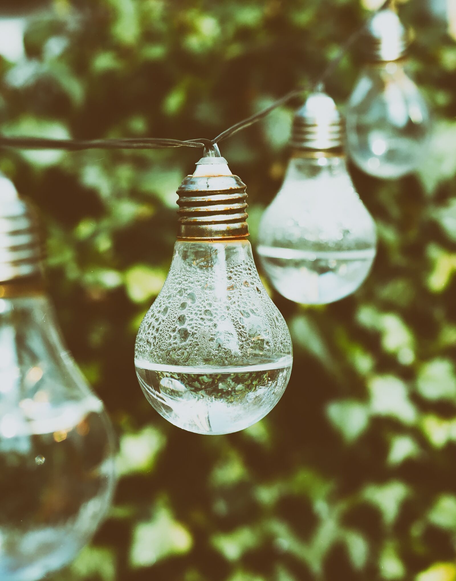 Nikon D7200 sample photo. Light bulb, water, energy photography