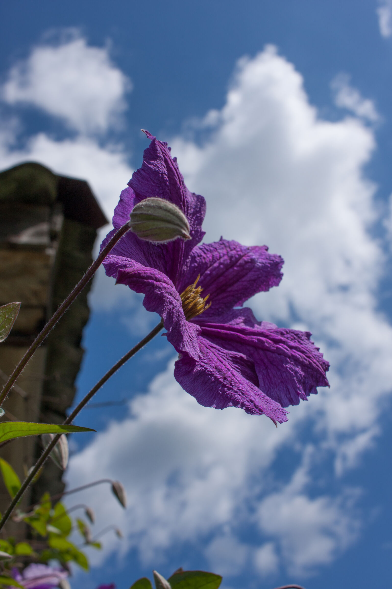Canon EOS 40D sample photo