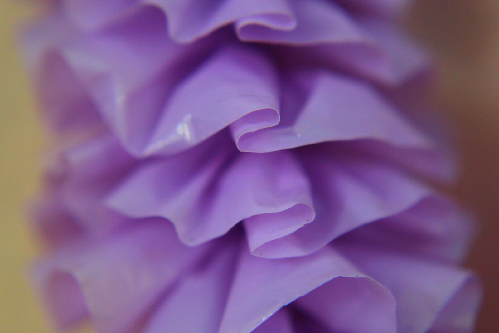 Canon EOS 1300D (EOS Rebel T6 / EOS Kiss X80) sample photo. Violet, hawaii, blue photography