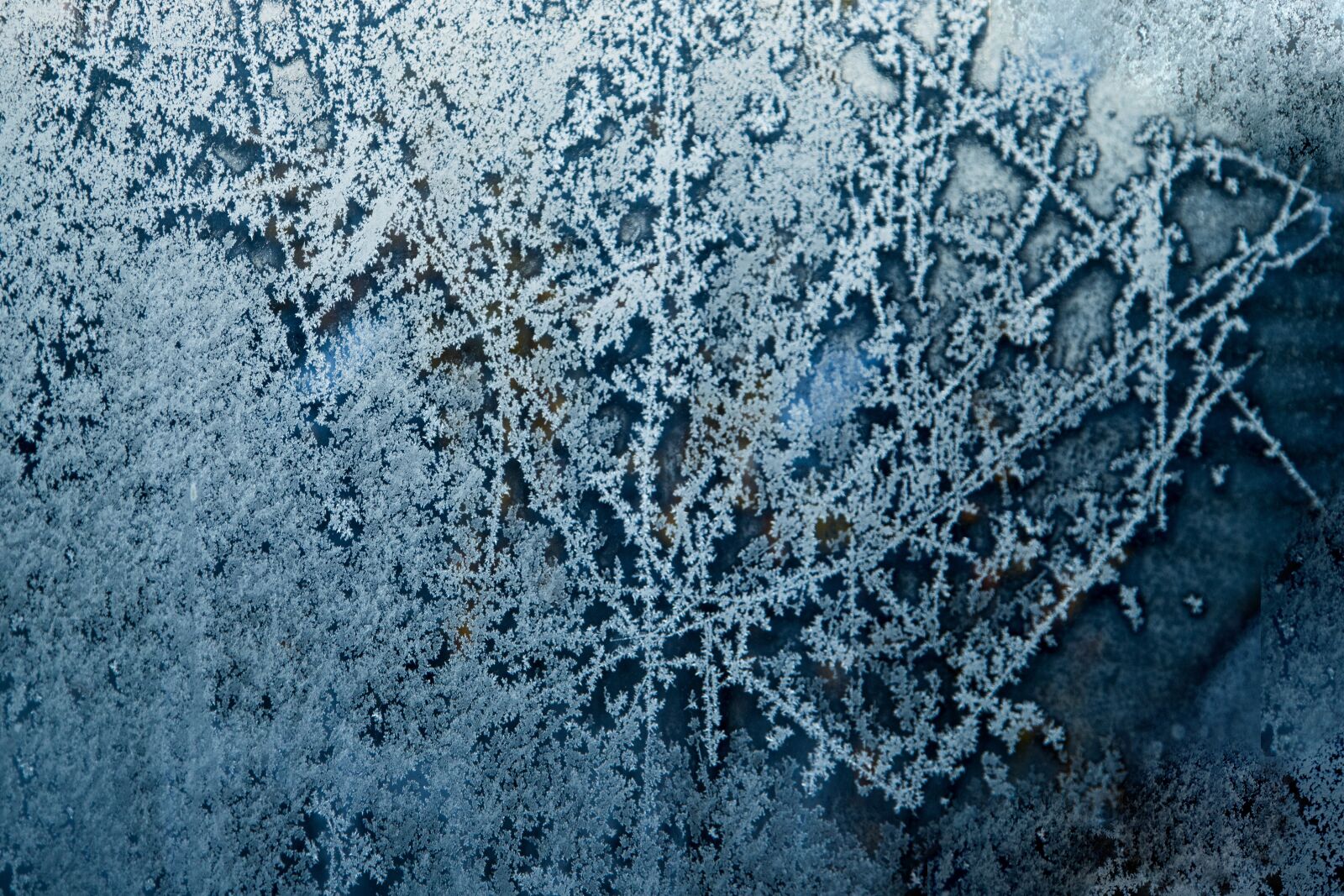 Canon EOS 6D Mark II sample photo. Frost, cold, ice photography