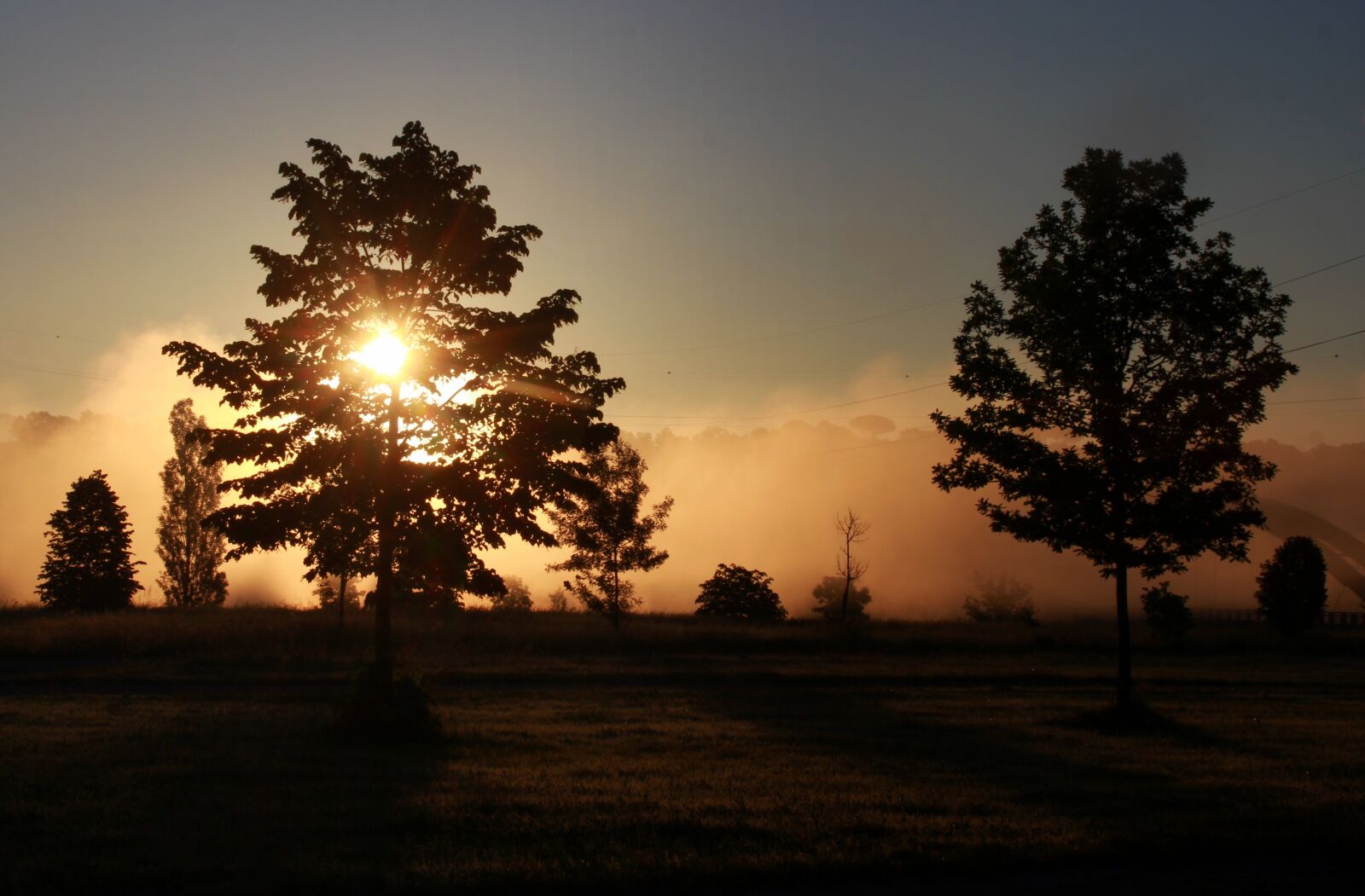 Canon EOS 700D (EOS Rebel T5i / EOS Kiss X7i) sample photo. Sunrise, the haze, tree photography