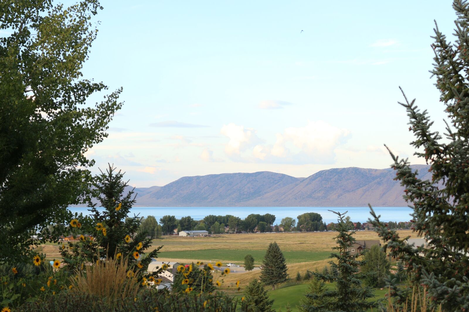 Canon EOS 700D (EOS Rebel T5i / EOS Kiss X7i) sample photo. Mountains, view, trees photography
