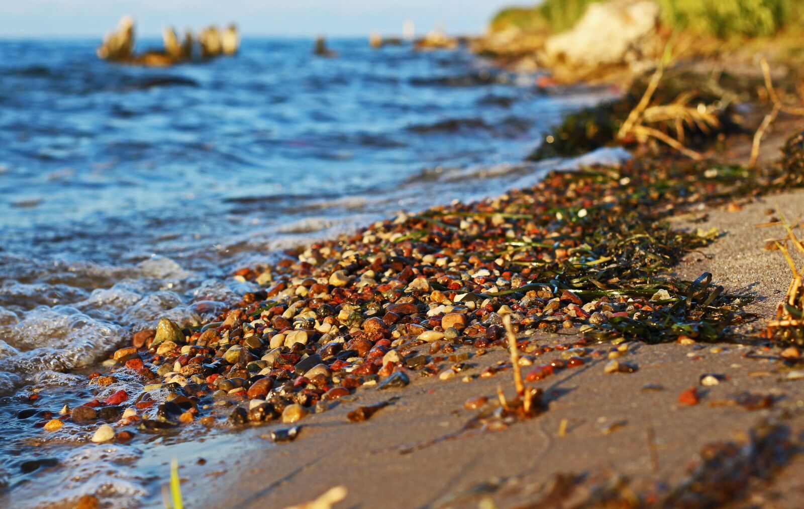 Canon EOS 700D (EOS Rebel T5i / EOS Kiss X7i) sample photo. Walk on the beach photography