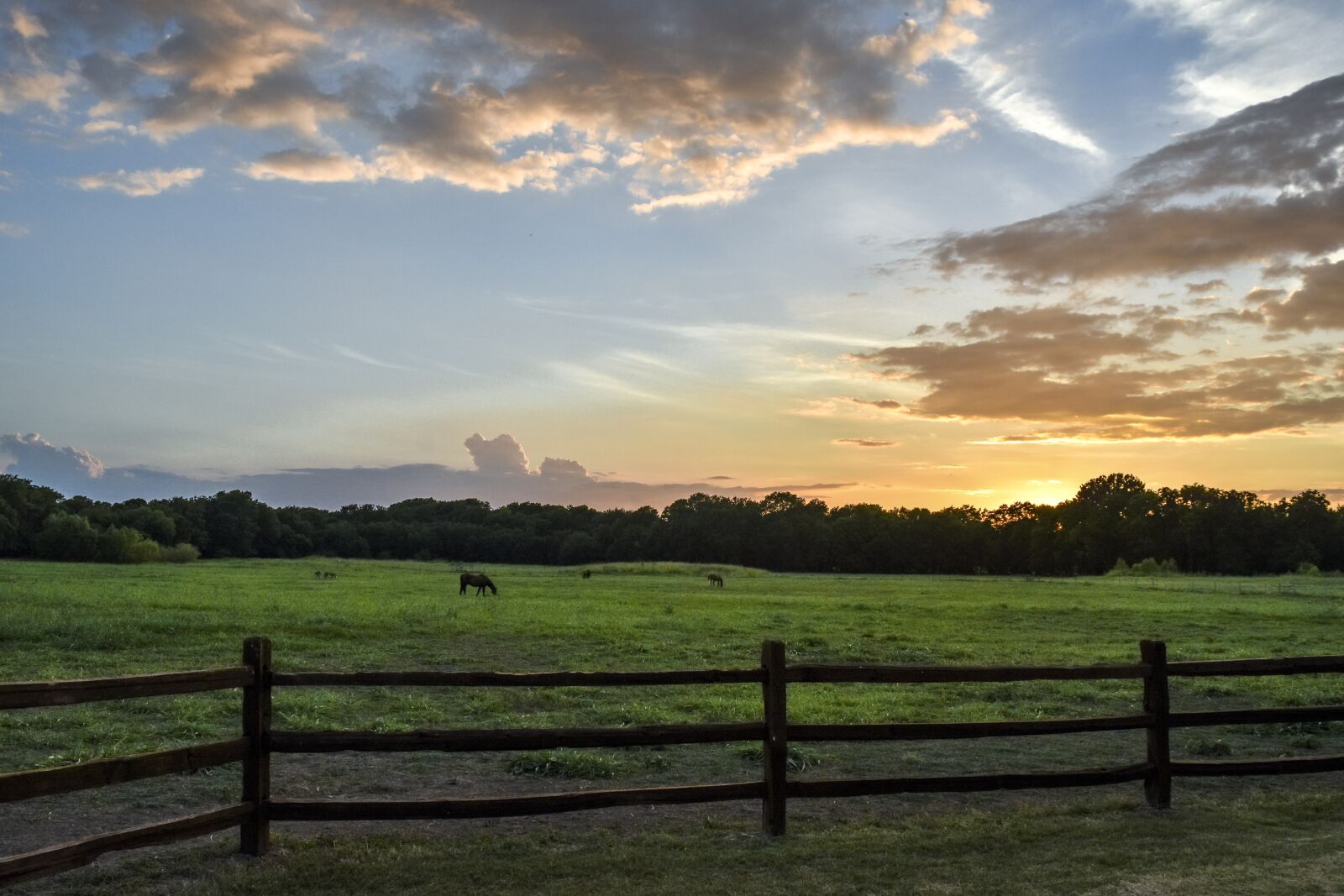 Nikon D7200 sample photo. Sunset, horses, fence photography