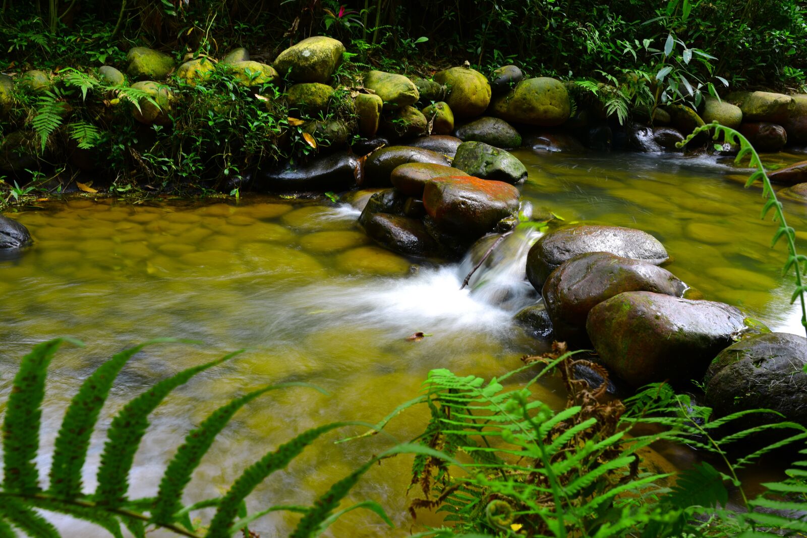 Nikon D750 sample photo. Nature, waters, flow photography