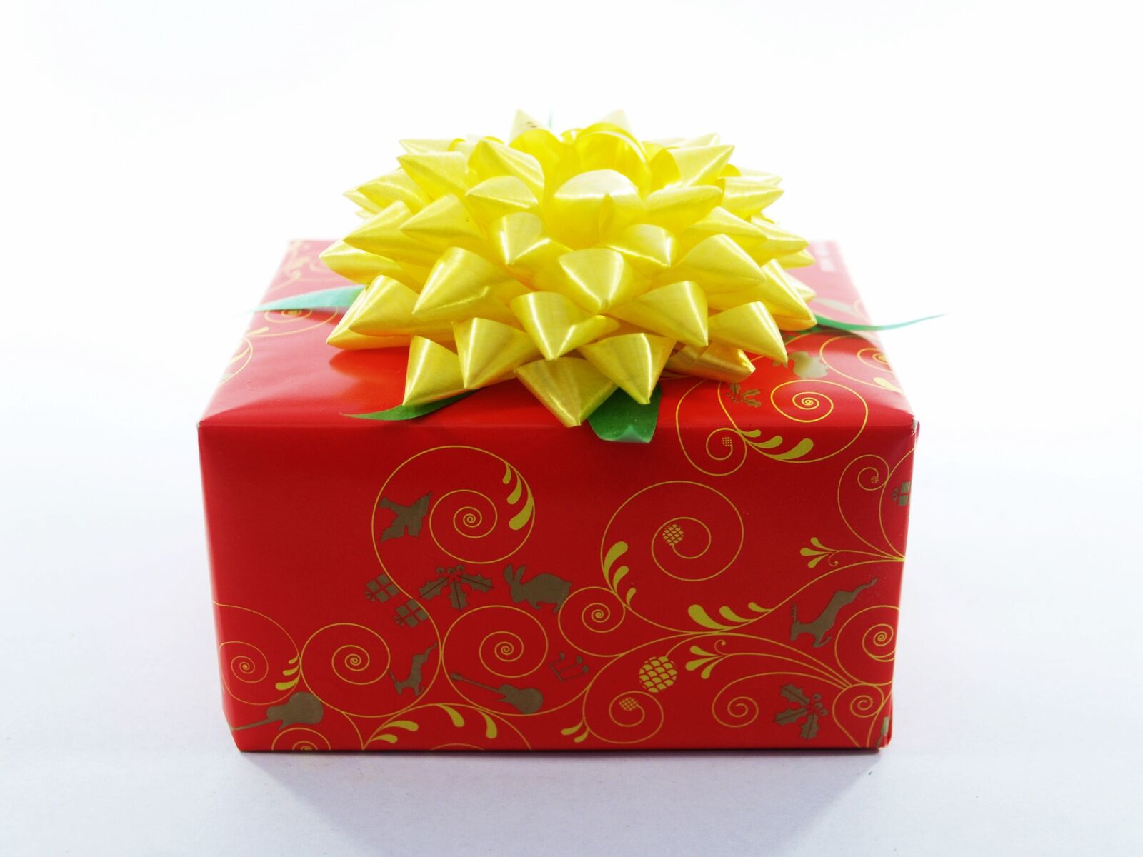 Olympus E-300 (EVOLT E-300) sample photo. Gift, box, red photography