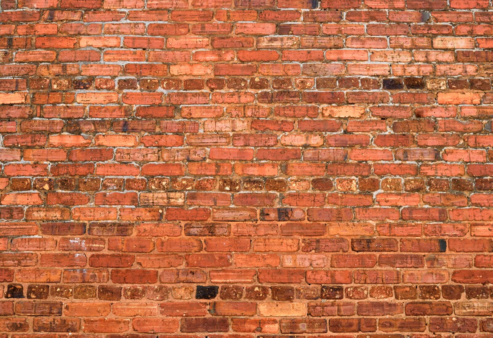 Nikon D3300 sample photo. Brick wall, backdrop, grunge photography