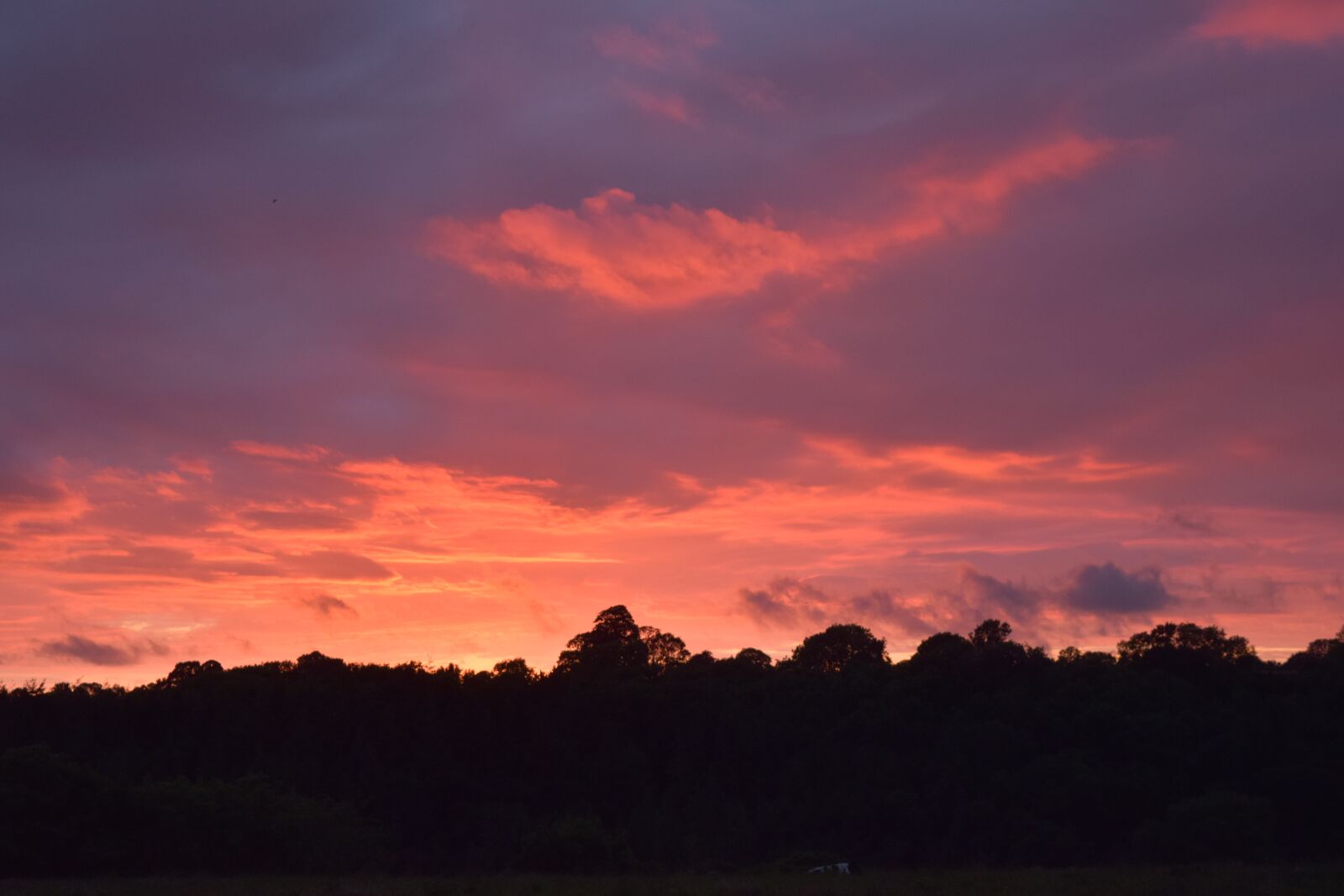 Nikon D3300 sample photo. Sunset, dark, red photography