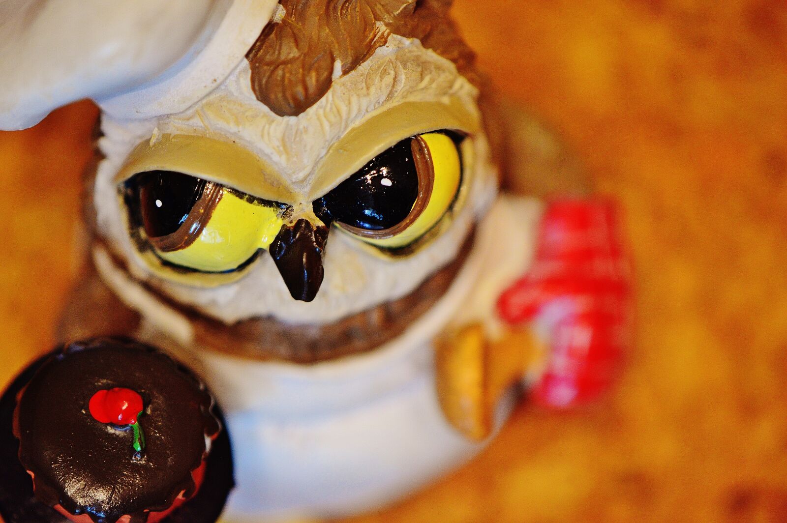 Nikon D3200 sample photo. Owl, bake, baker photography