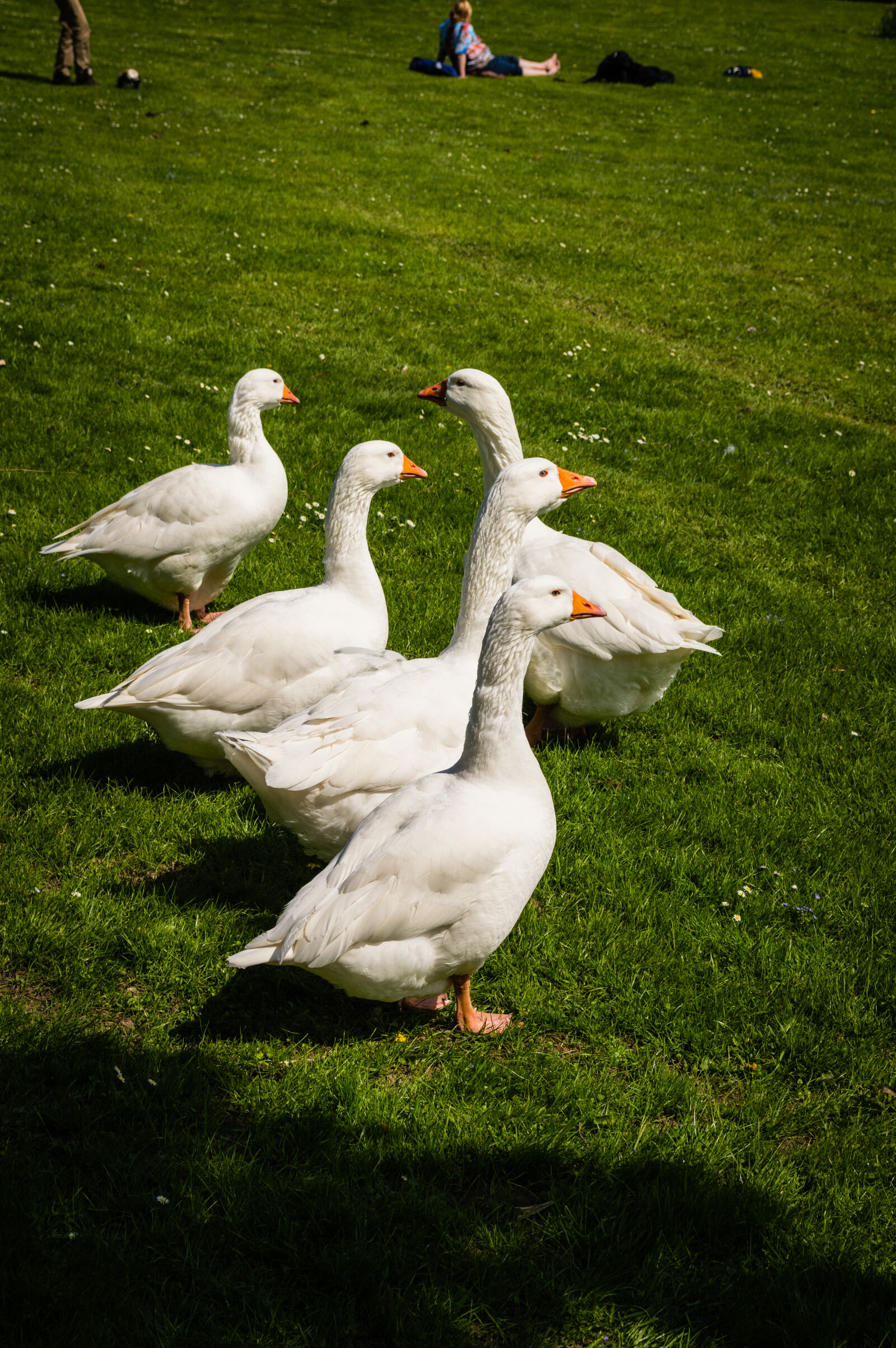 Nikon D3200 sample photo