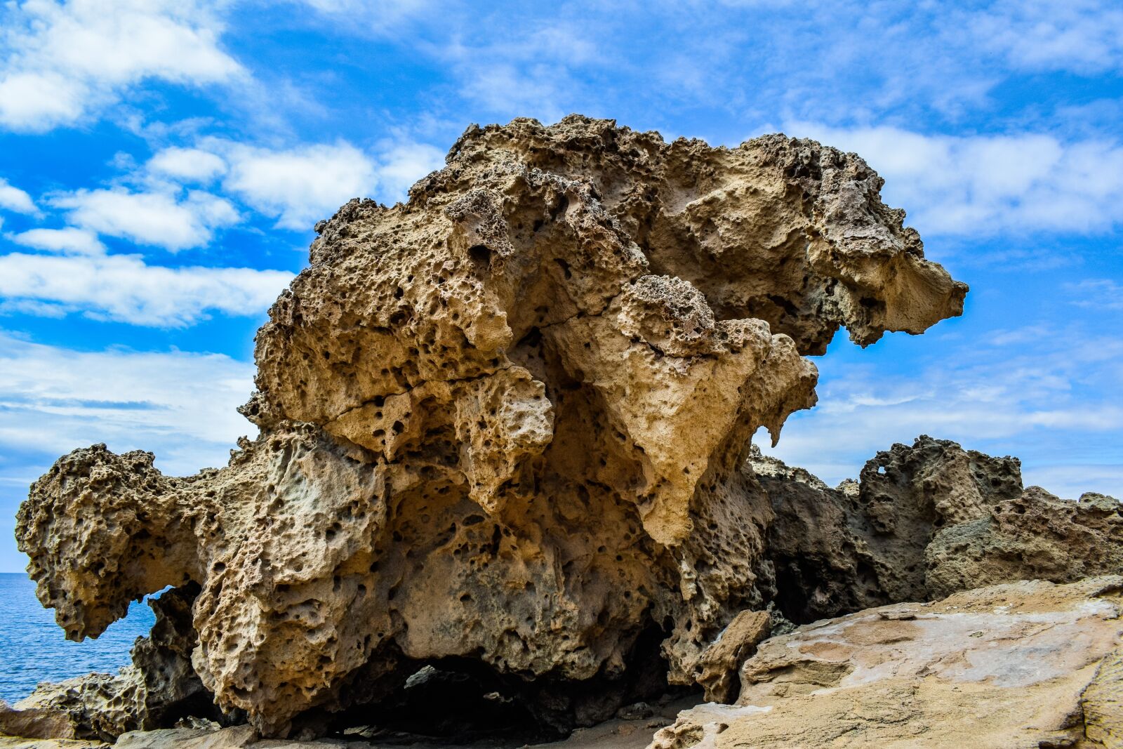 Nikon D3300 sample photo. Nature, rock, the bear photography