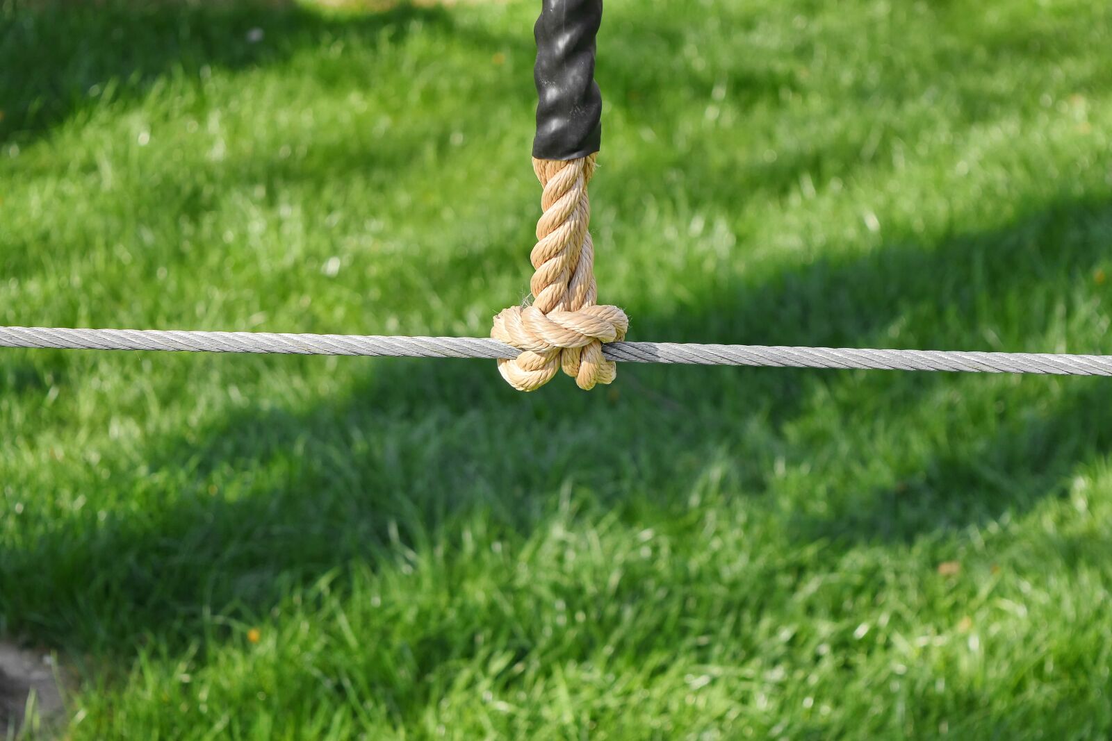 Nikon D5500 sample photo. Rope, stainless steel, grass photography