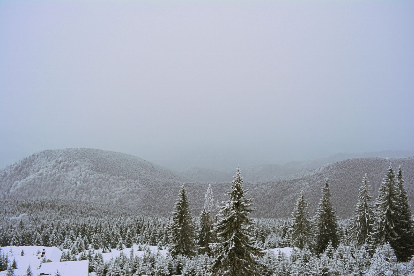 Nikon D5200 sample photo. Mountain, winter, rânca photography