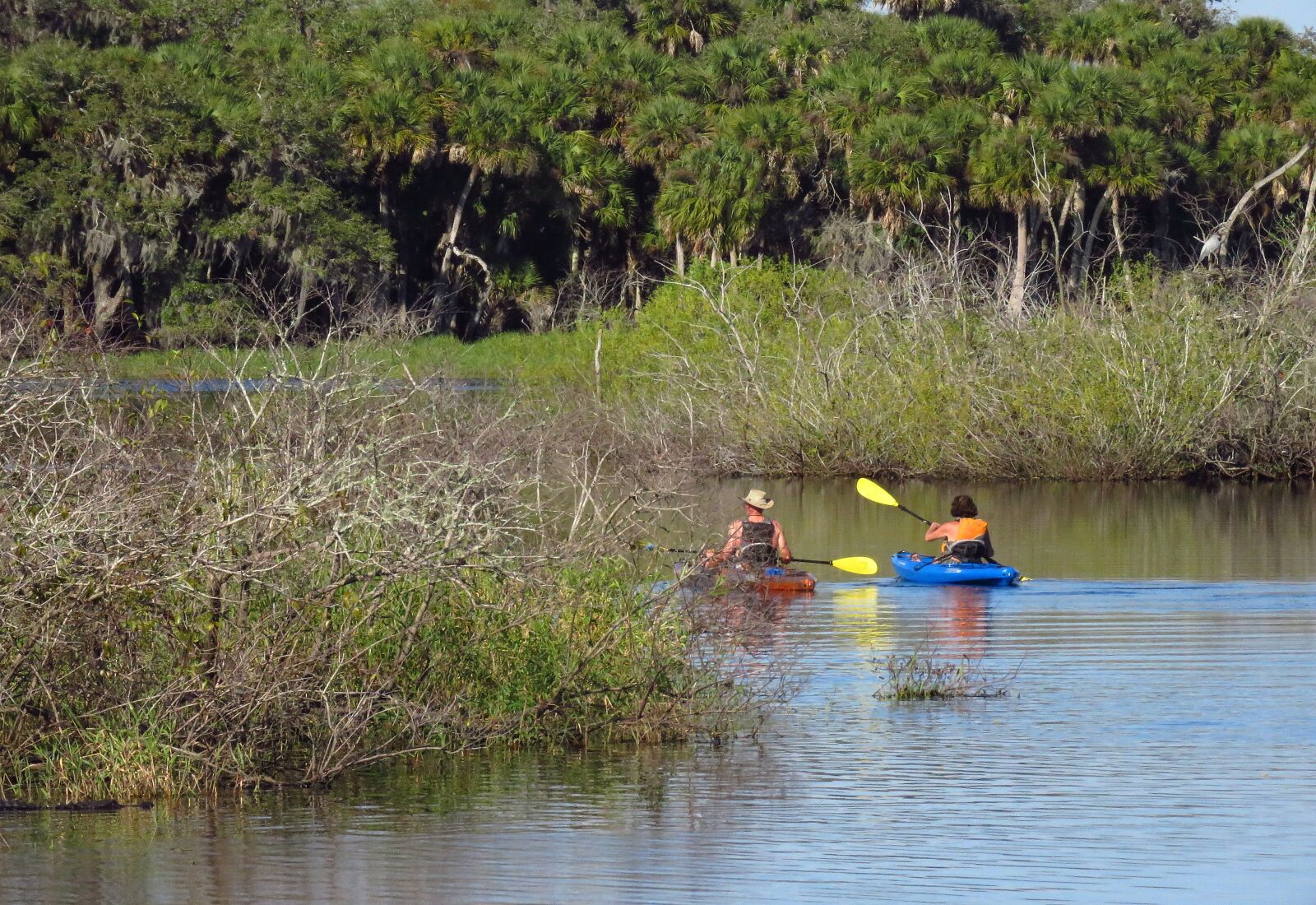 Canon PowerShot SX60 HS sample photo. Kayaks, people, kayaking photography