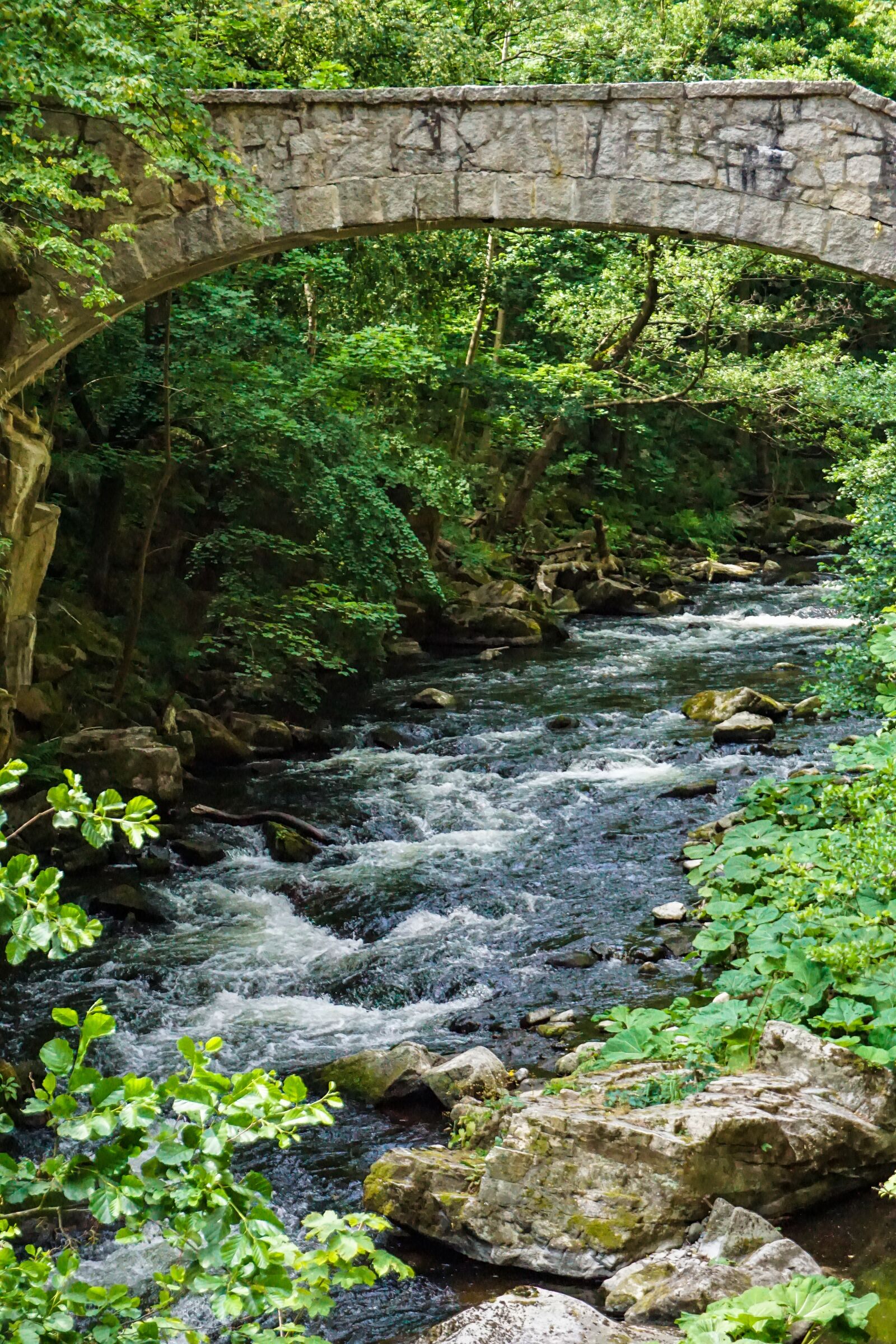 Sony E 16-50mm F3.5-5.6 PZ OSS sample photo. River, water, bridge photography
