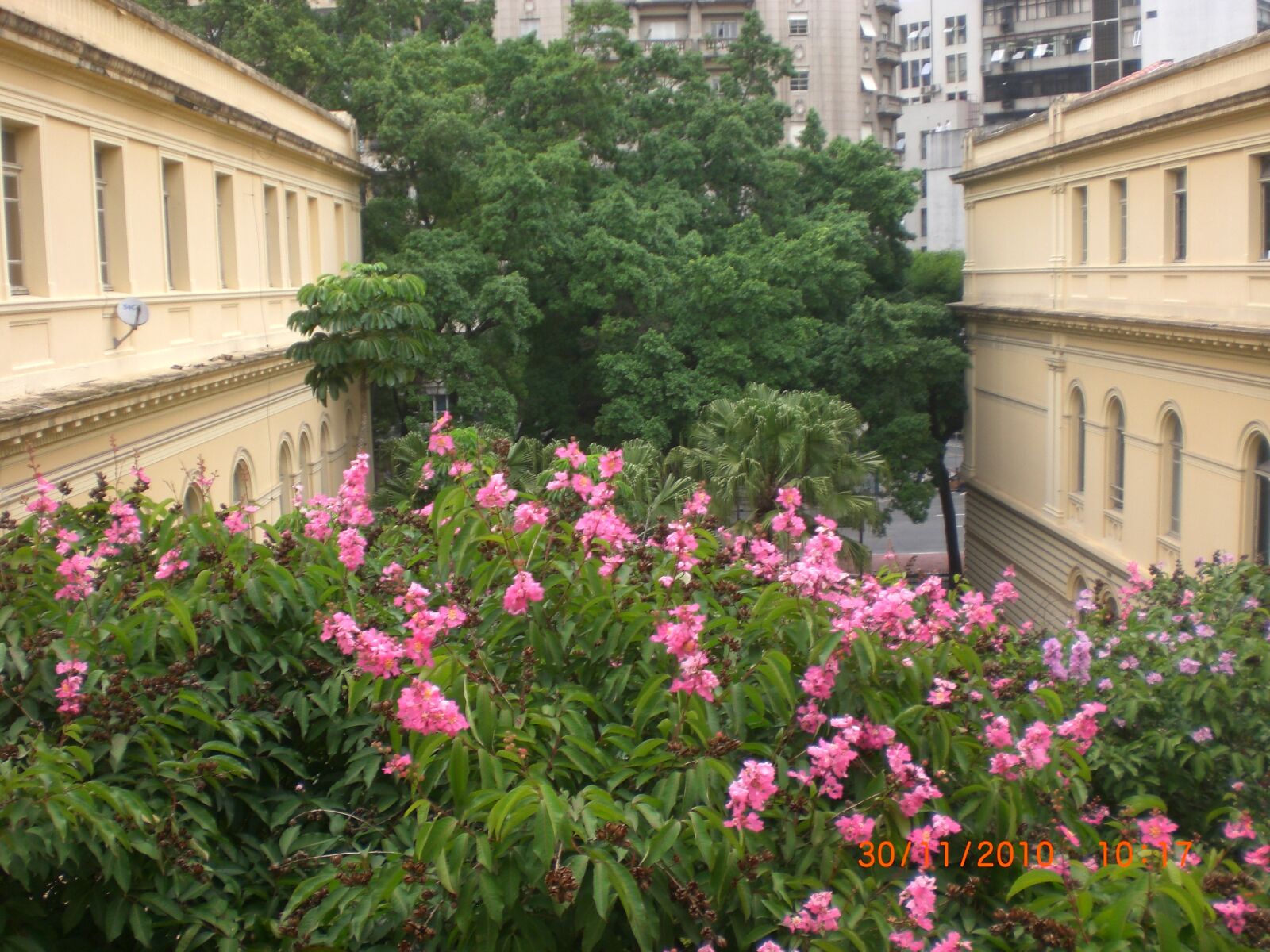 CASIO EX-Z75 sample photo. Jardim, primavera, interior photography